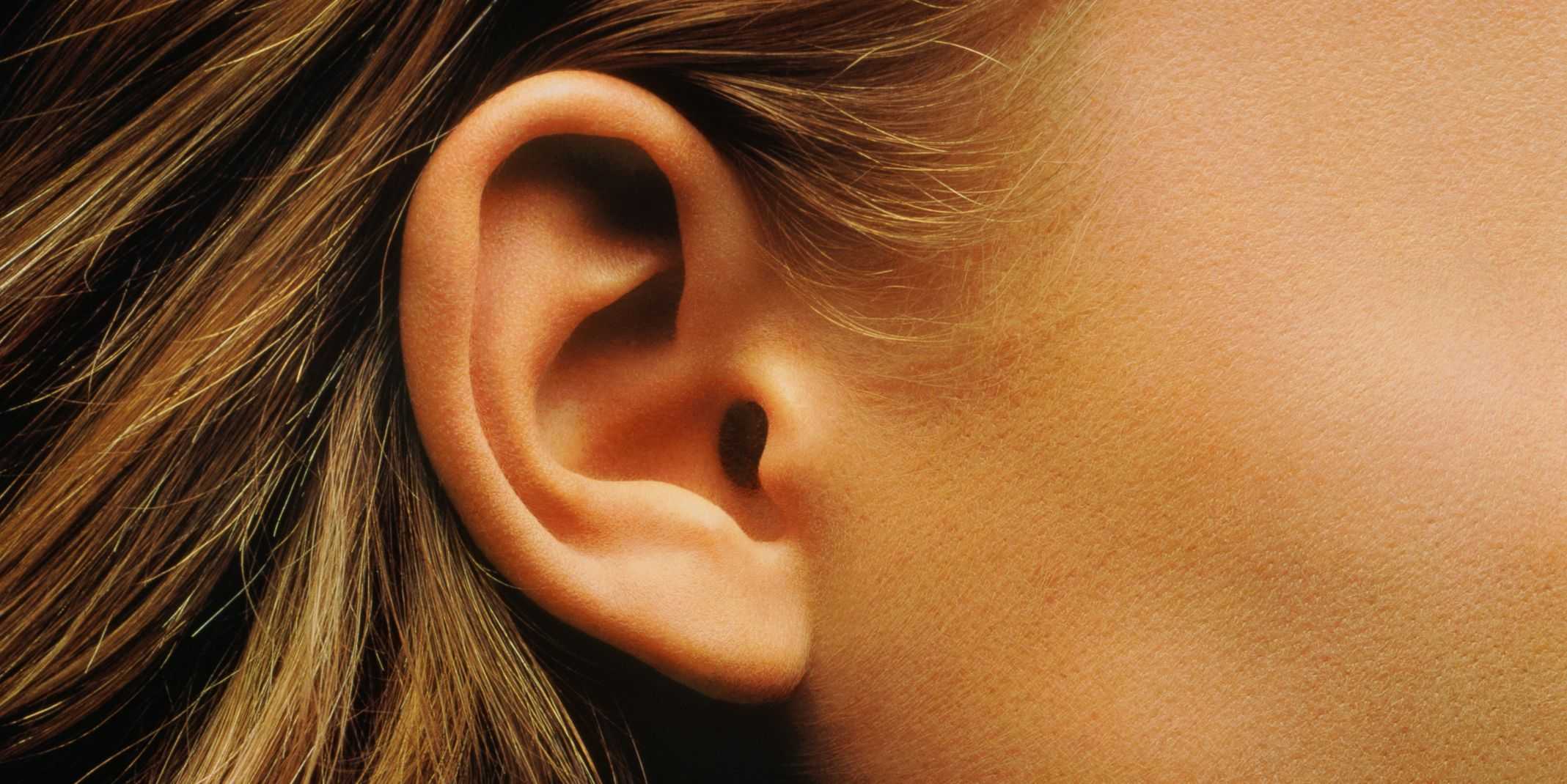 Человеческое ухо развилось из рыбьих жабр