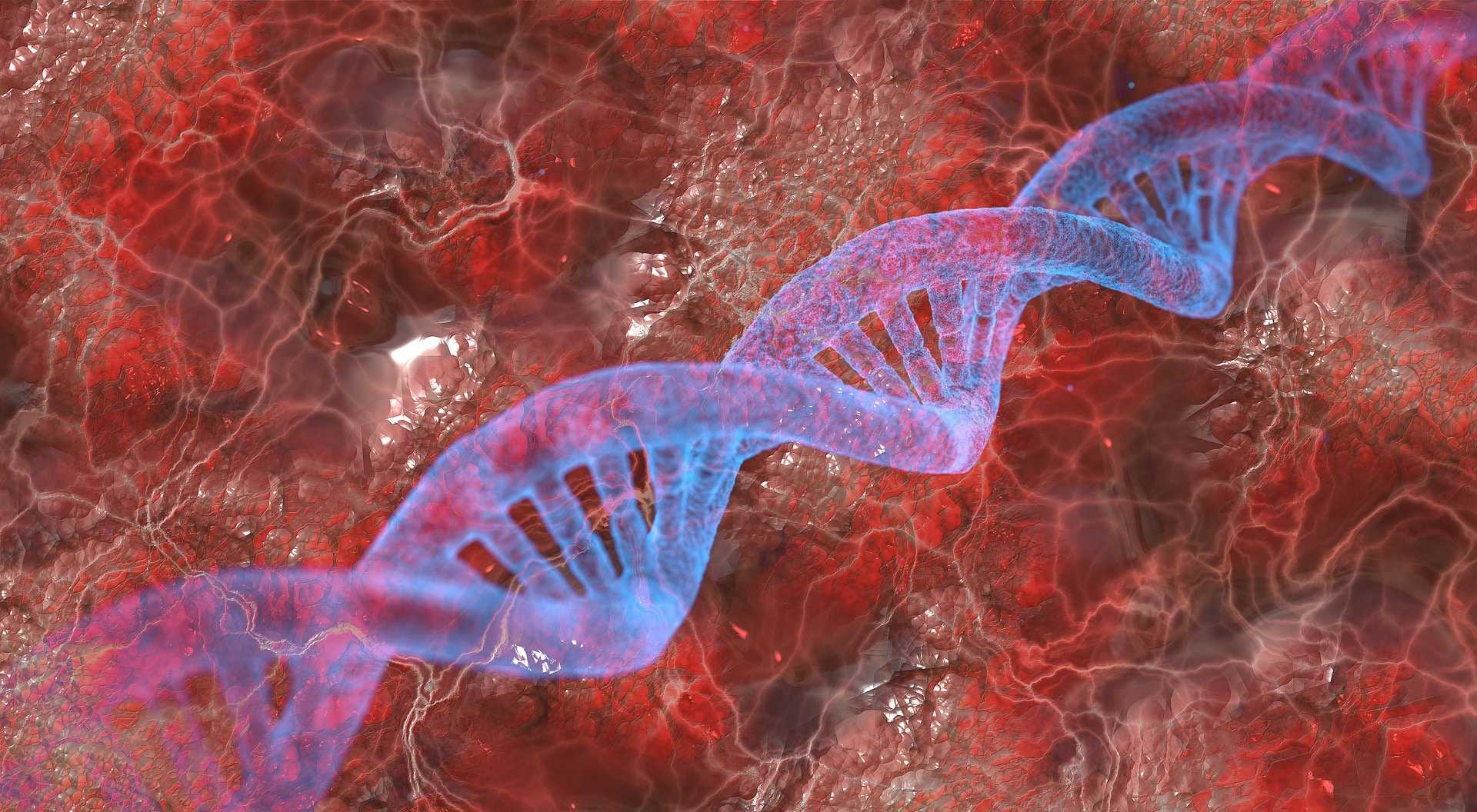 Как рак связан с «мусорной ДНК»
