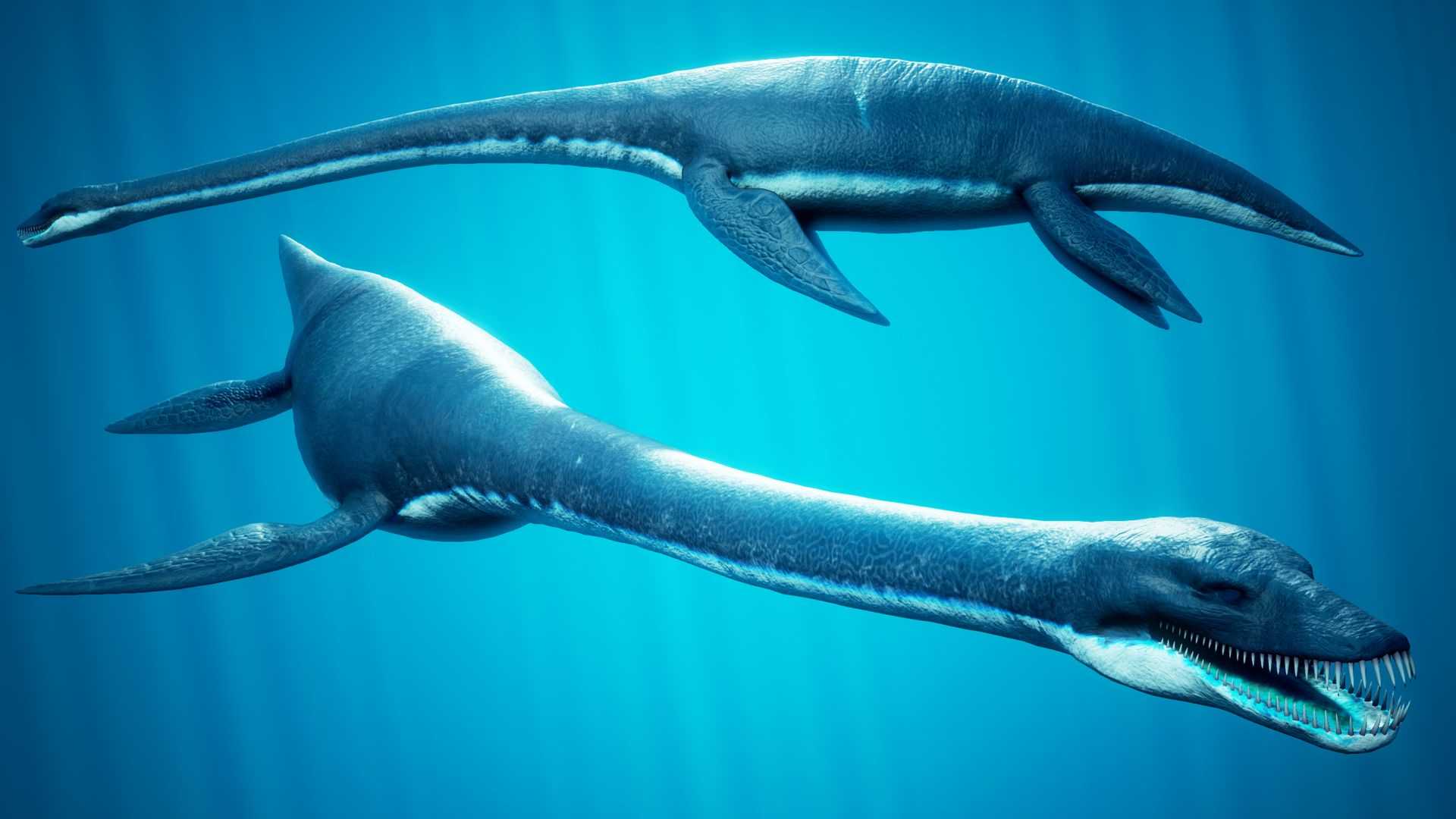 Ученые реконструировали способ плавания плезиозавров