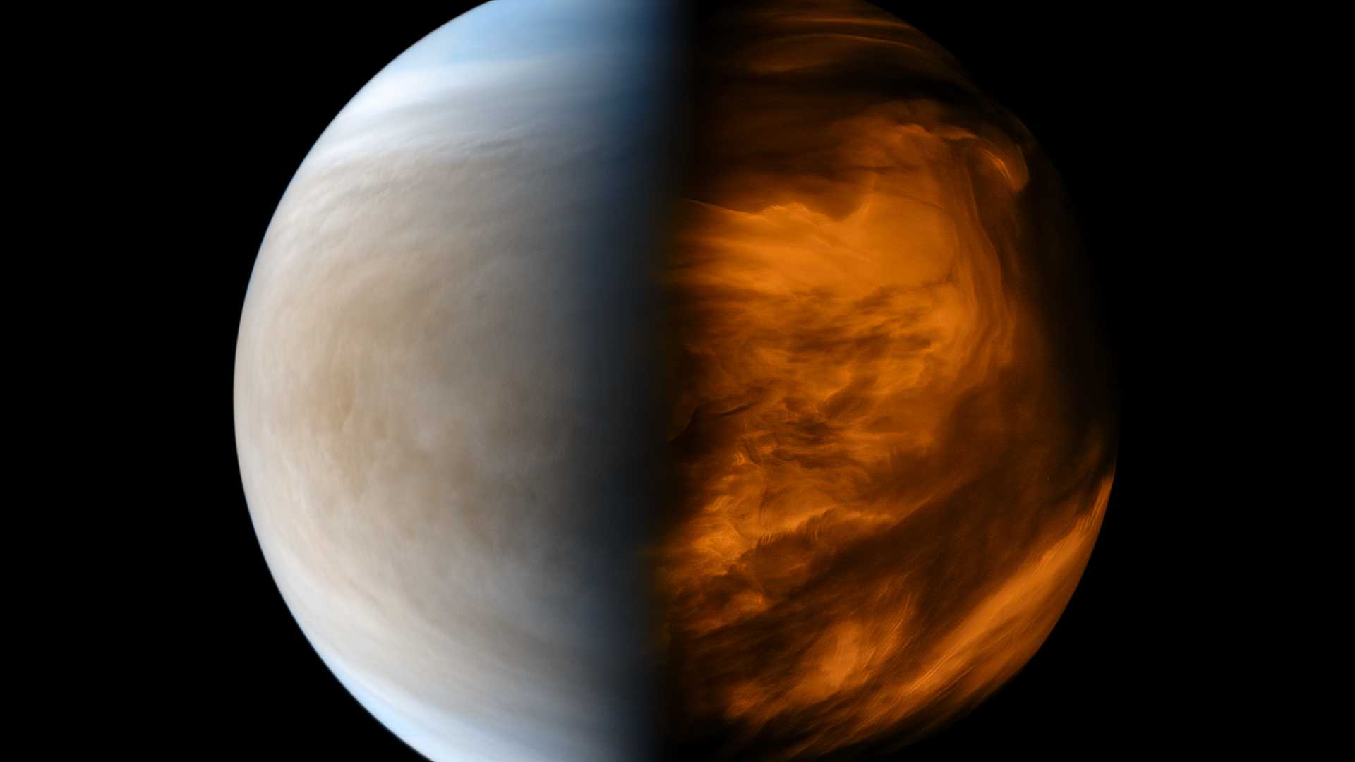 Астробиологи выяснили, возможно ли существование жизни в облаках Венеры