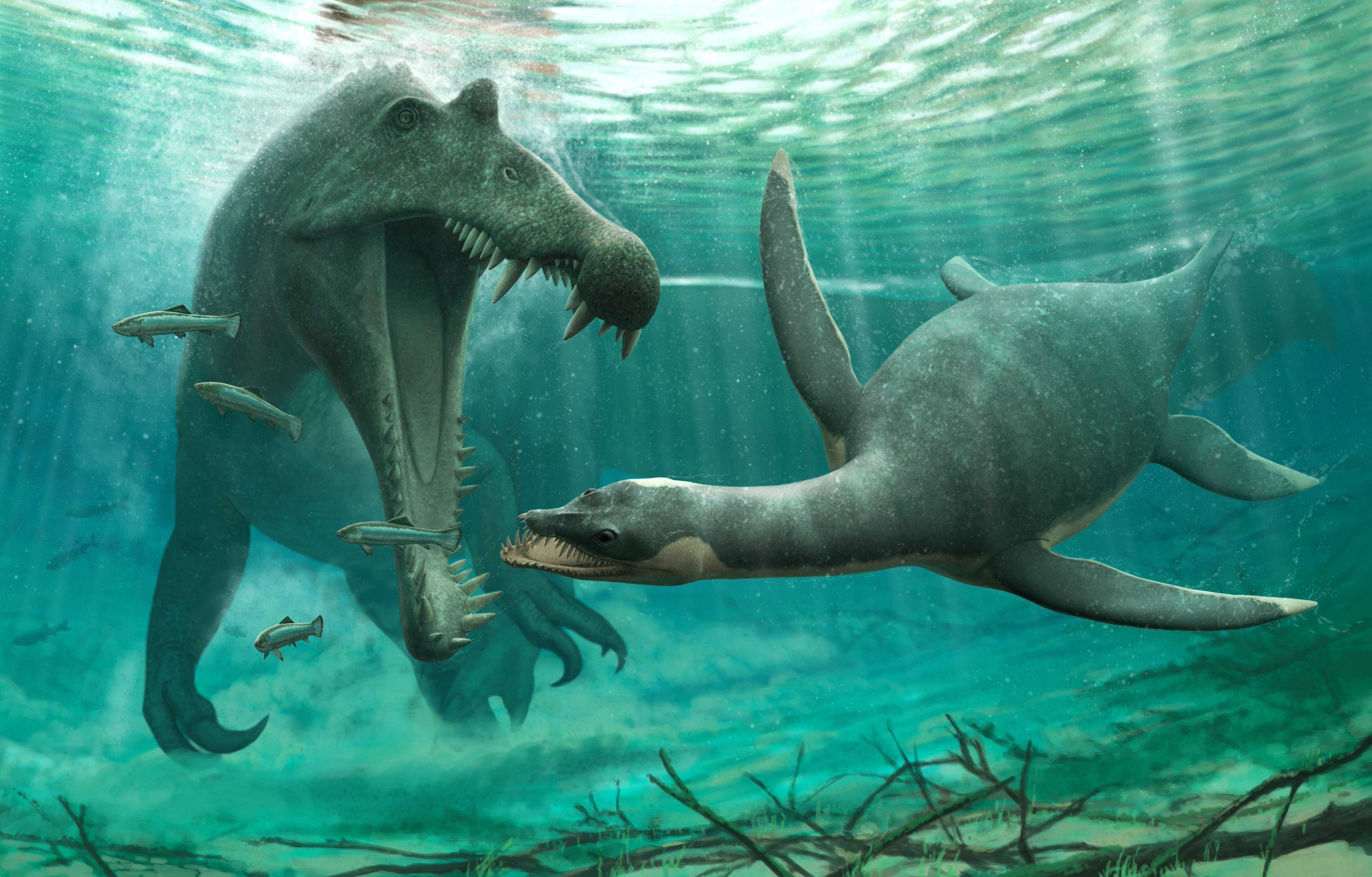 Плезиозавры могли жить в пресной воде