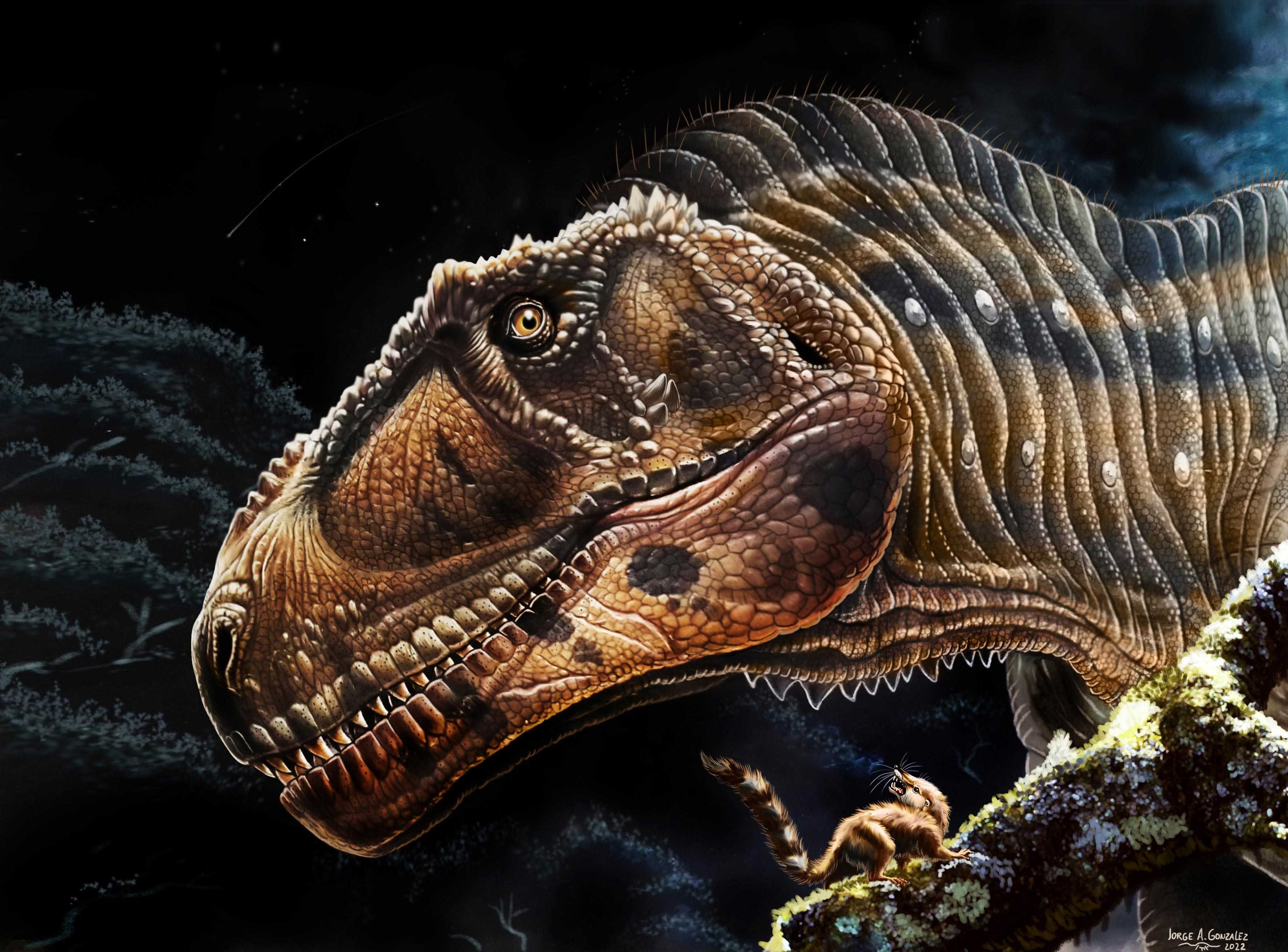 Четырехтонного короткорукого динозавра назвали Meraxes gigas, в честь дракона из «Песни льда и пламени»