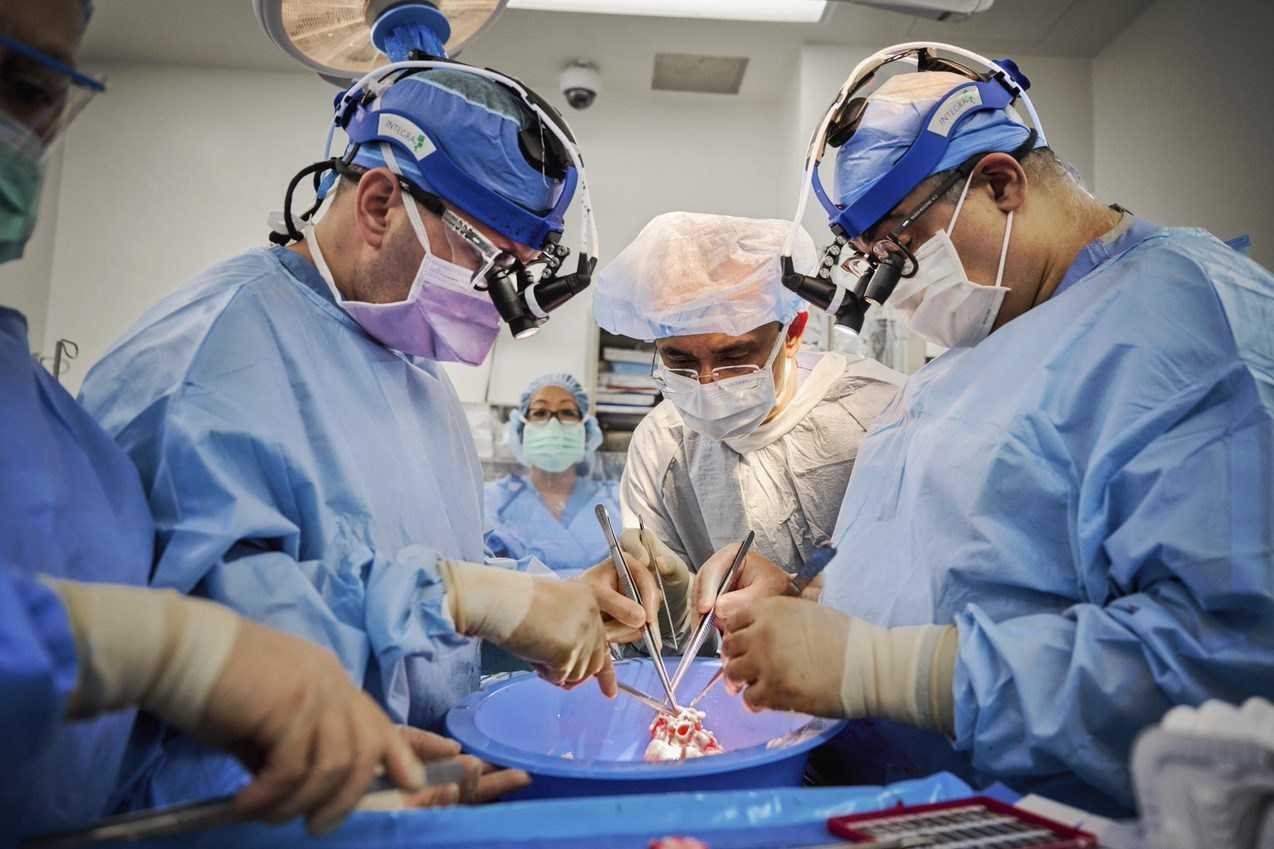 Врачи пересадили двум пациентам со смертью головного мозга свиные ГМ-сердца