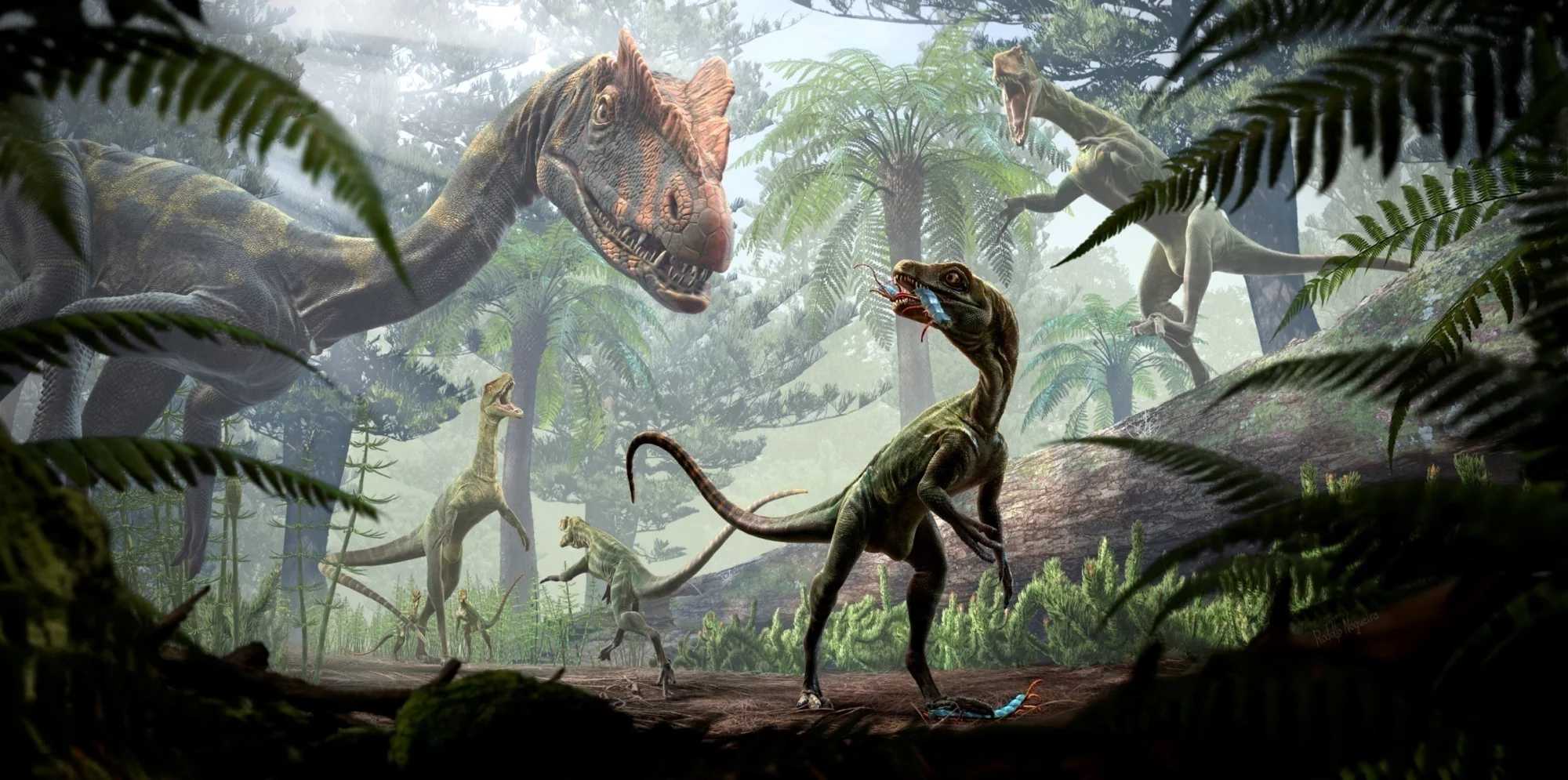 Птицетазовые динозавры начали жить стаями уже в юрском периоде