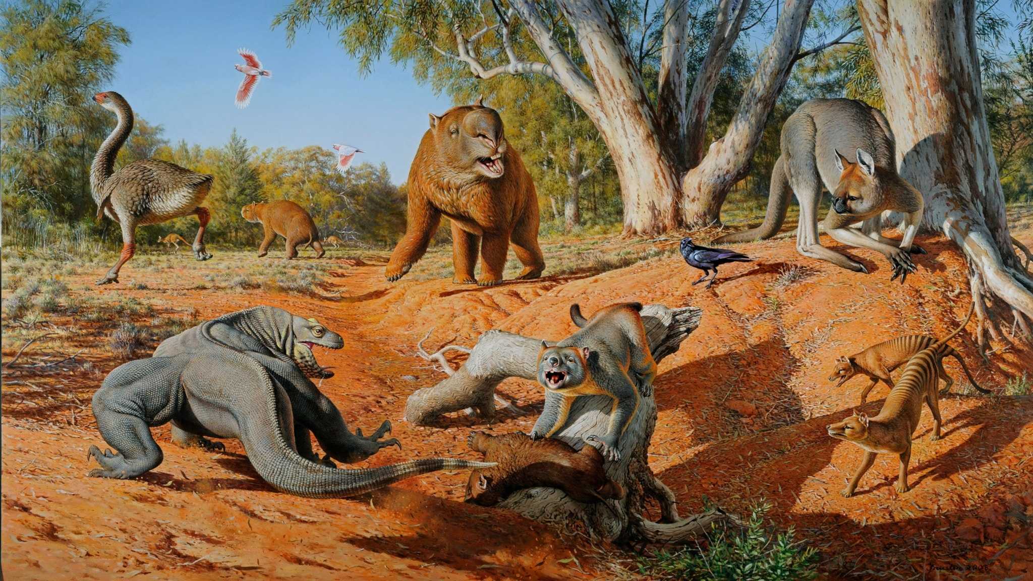 Последствия вымирания мегафауны: какими будут экосистемы без носорогов и львов