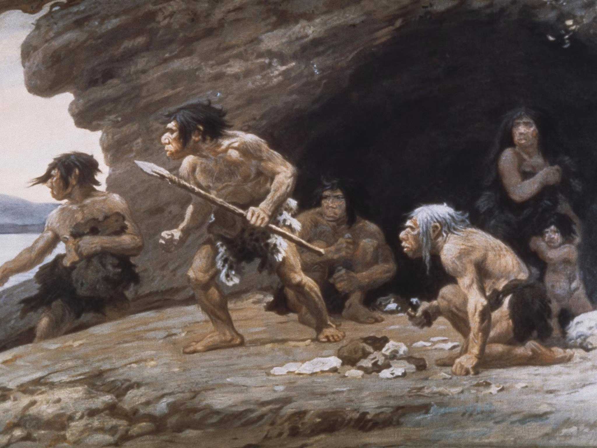 Поздние неандертальцы похожи на горных горилл: их было так же мало