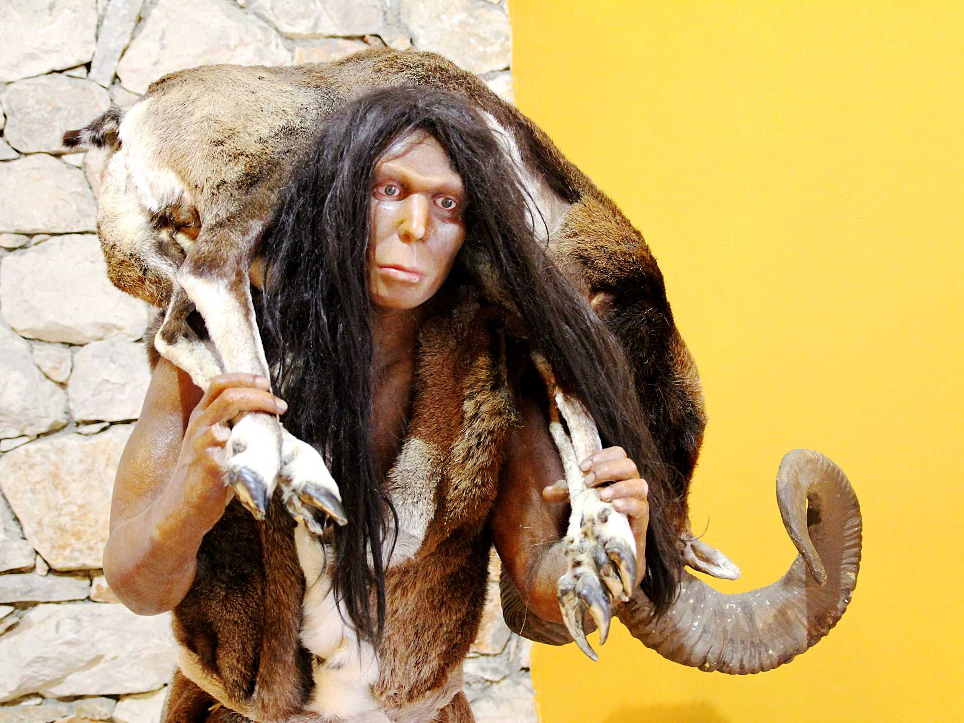 Неандертальцы ели много мяса