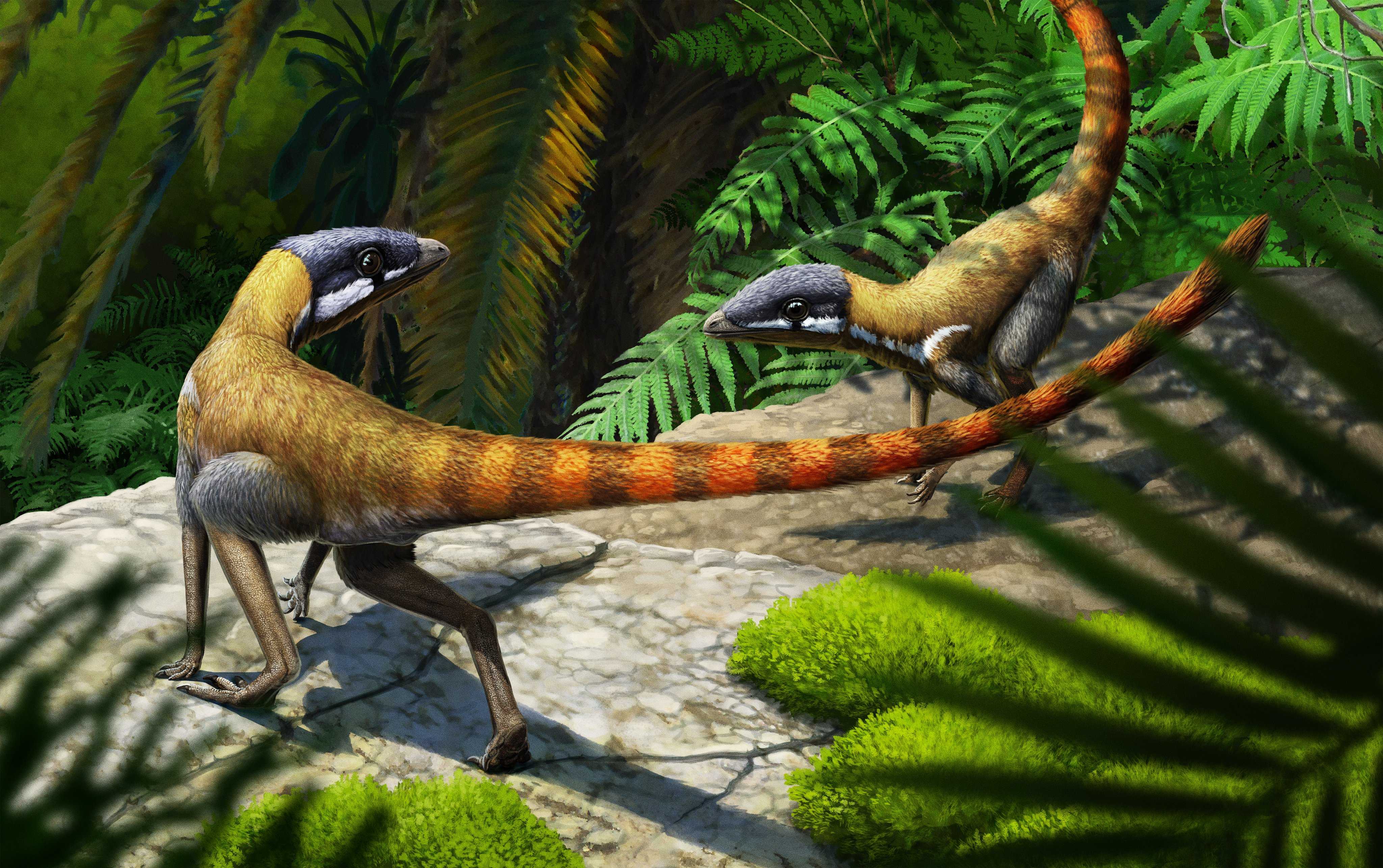 Найденный сто лет назад ящер оказался ближайшим родственником птерозавров