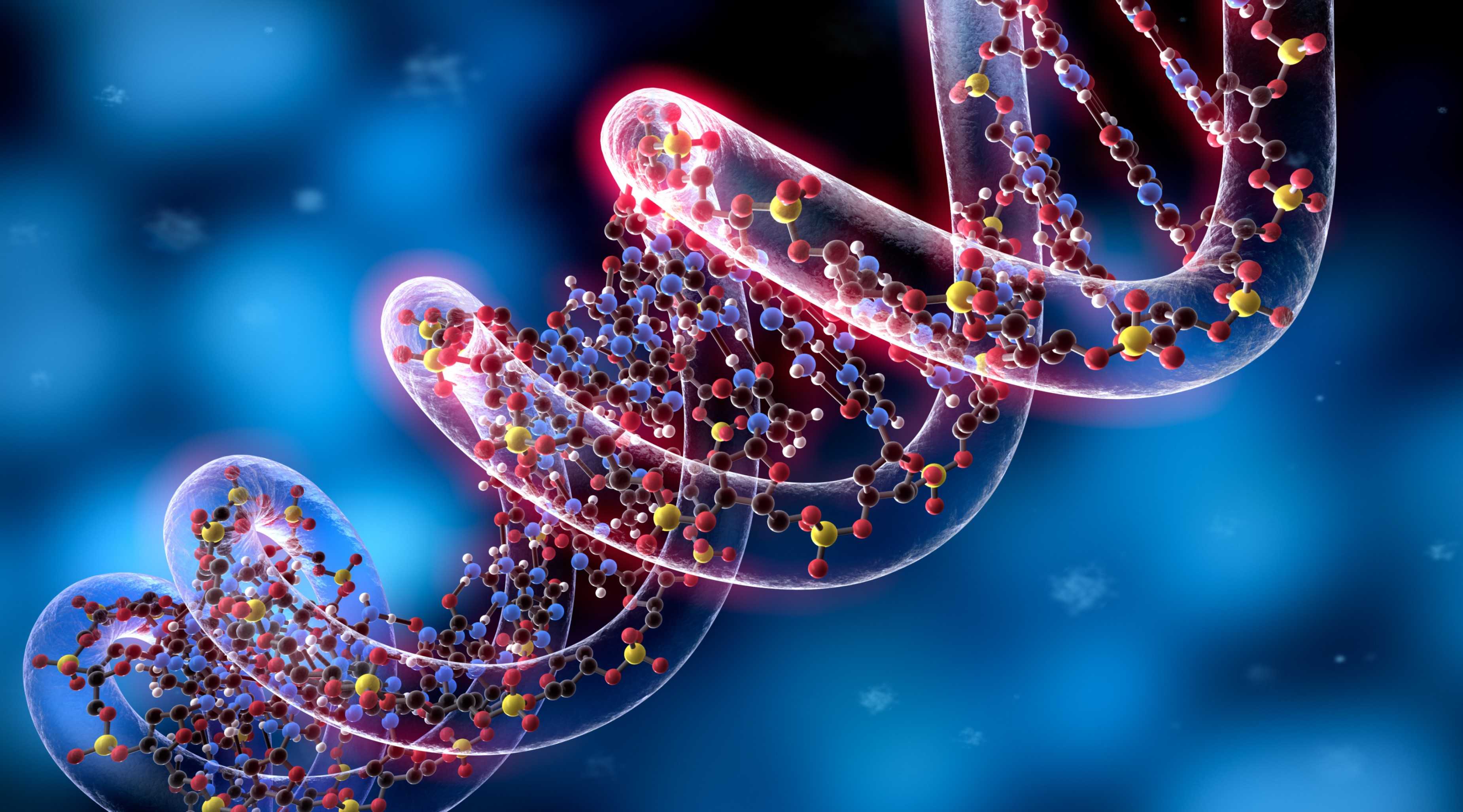 Учеными разгадана загадка некодирующих участков ДНК