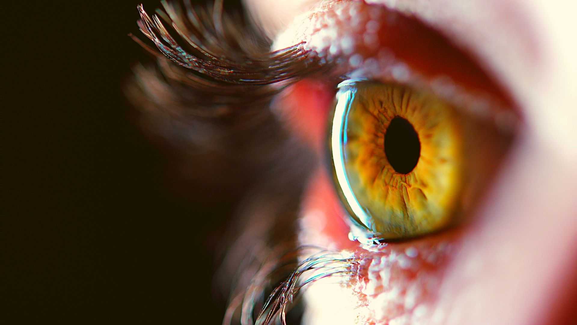 Генная терапия способна улучшать ночное зрение у взрослых пациентов с врожденной слепотой