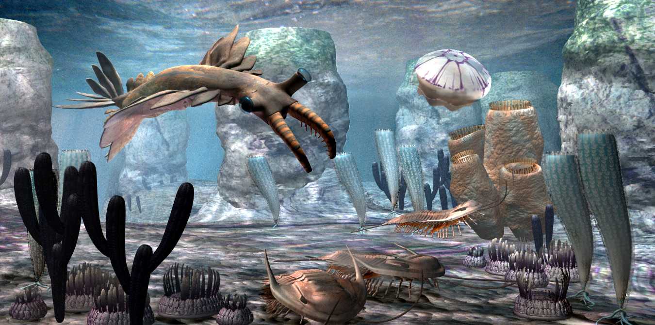 Облик древних рифов формировали скачки уровня кислорода в кембрии