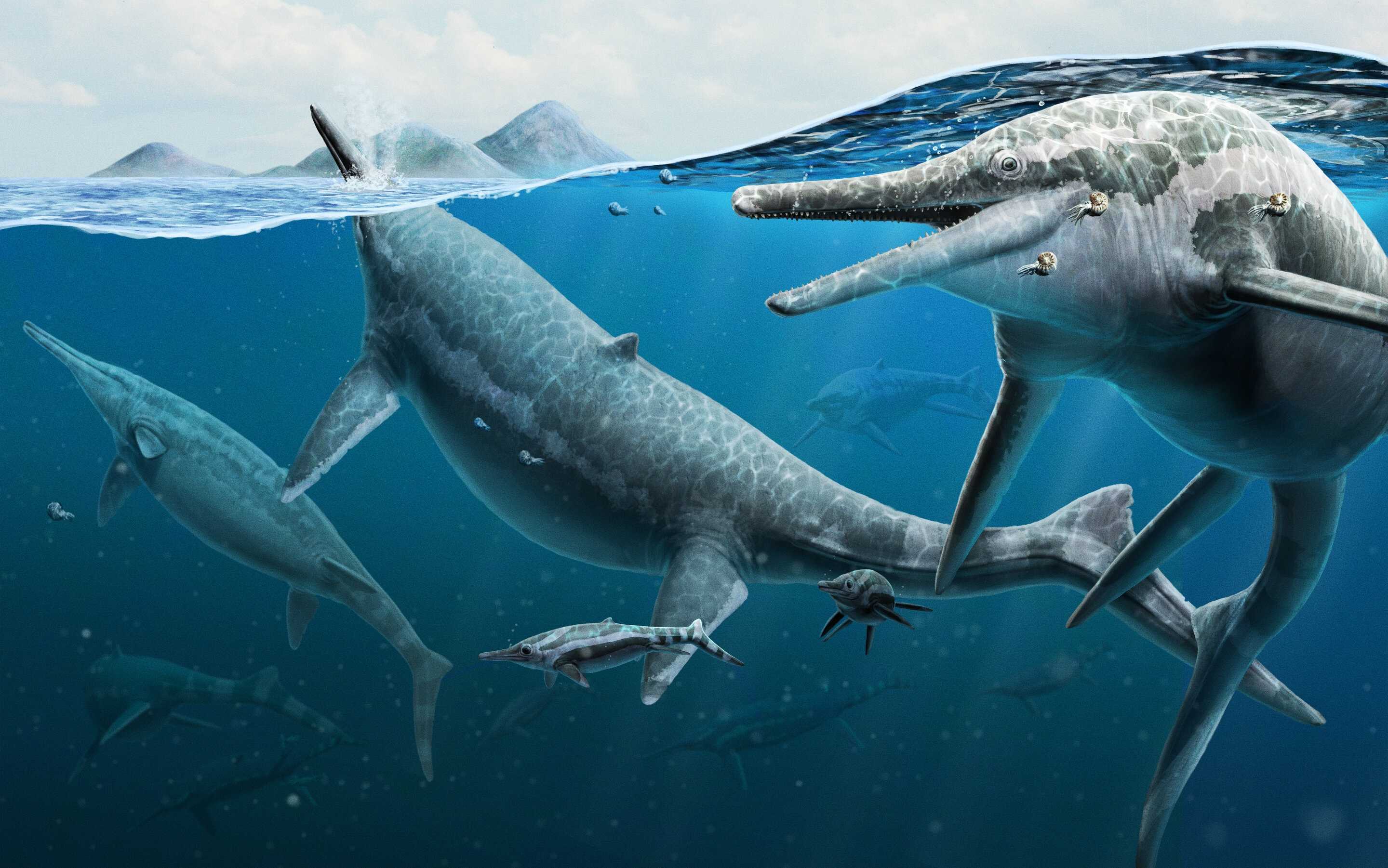 Палеонтологи описали «родильный дом» шонизавров
