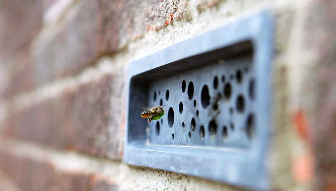 «Кирпичи с сюрпризом» могут помочь спасти пчел