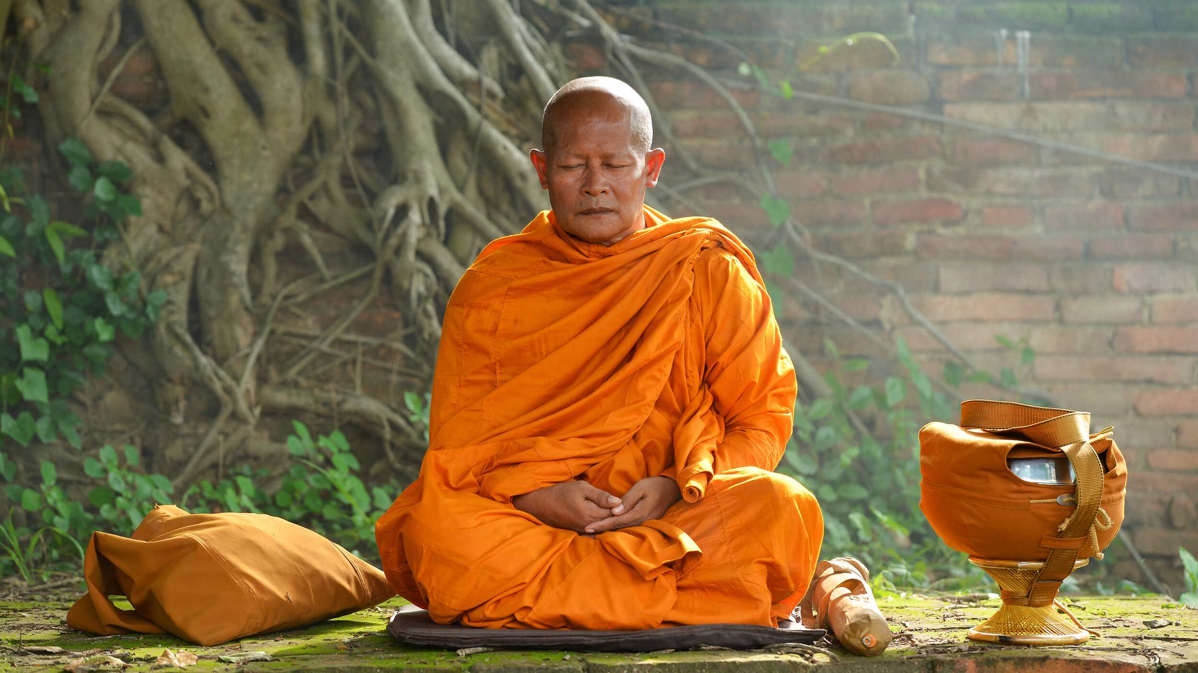 Изучение буддийских монахов показало влияние медитации на микрофлору