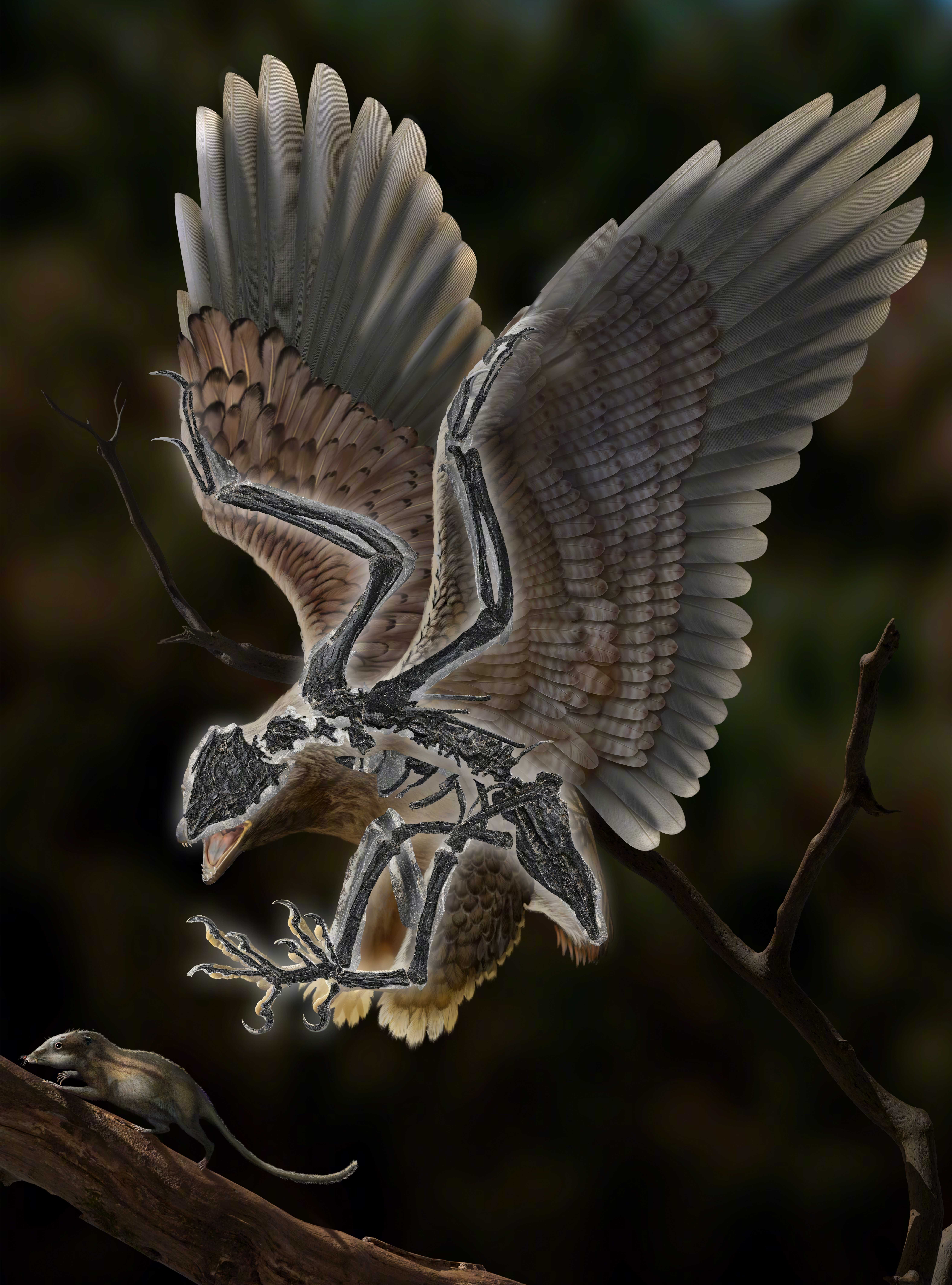 В Китае нашли птицу с головой динозавра