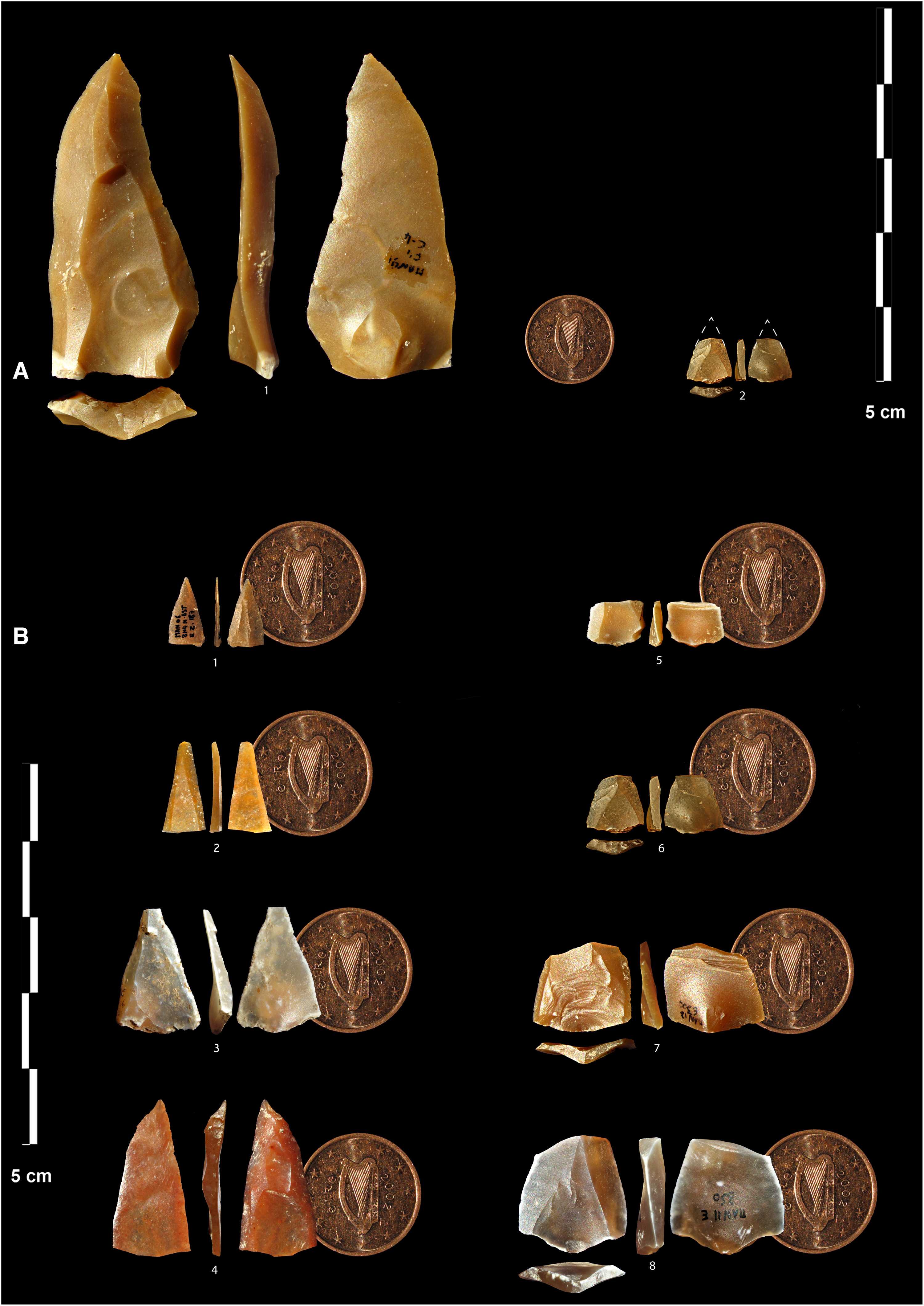 Антропологи нашли древнейшие свидетельства пользования луком и стрелами в Европе