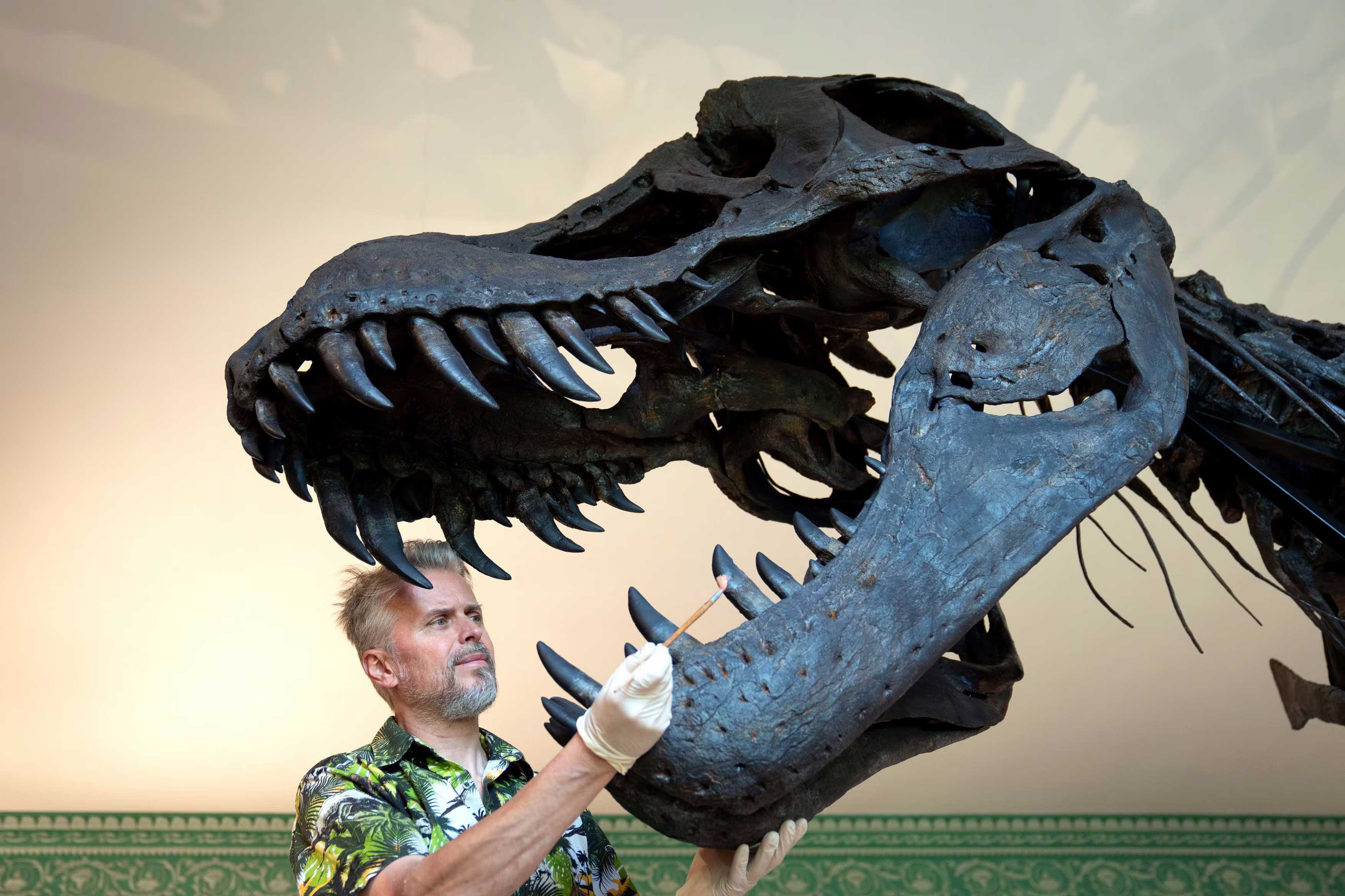 Ученые выяснили, почему хищные динозавры вырастали такими огромными