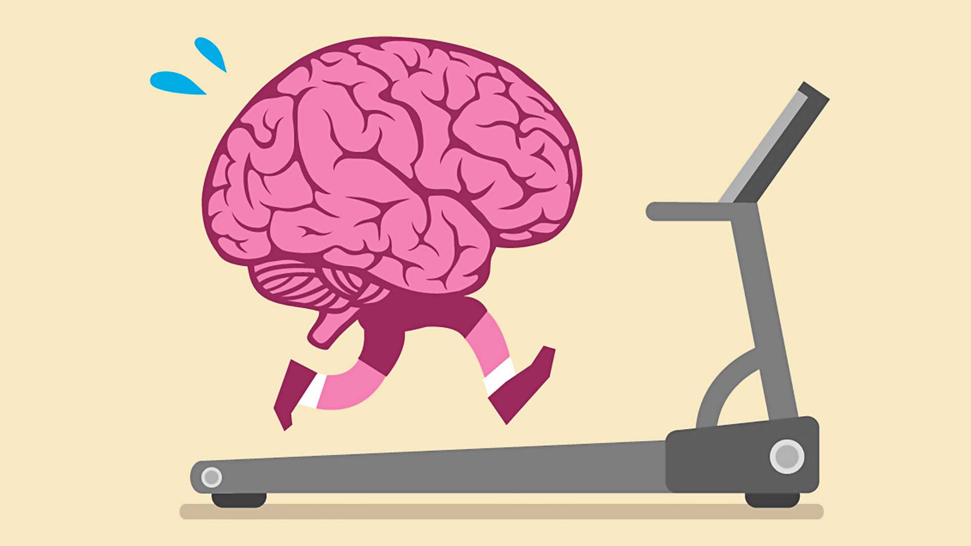 Помогает ли спорт мозгу?
