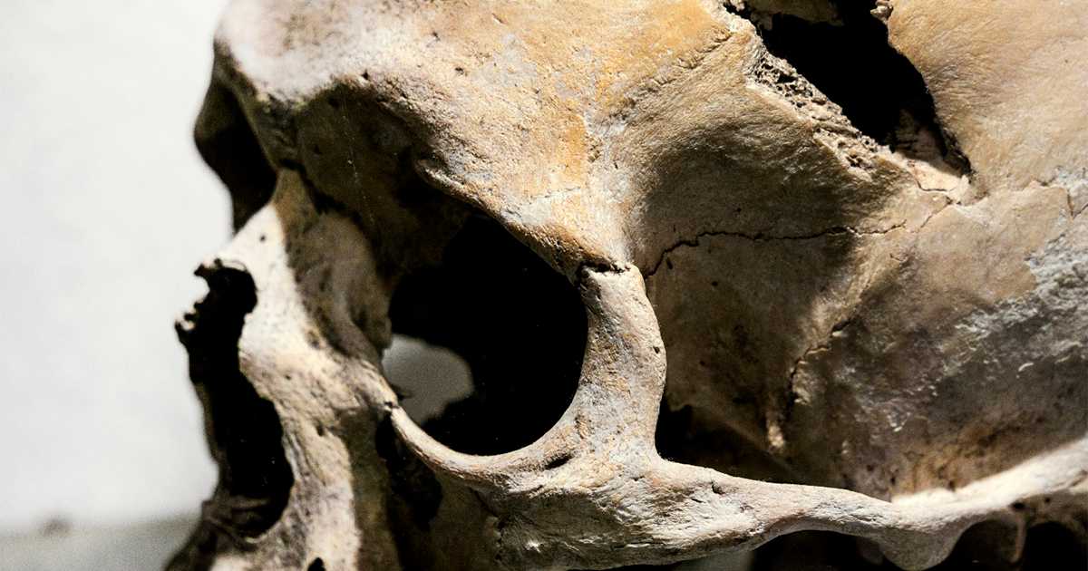 Антропологами обнаружена первая в Европе жертва убийства