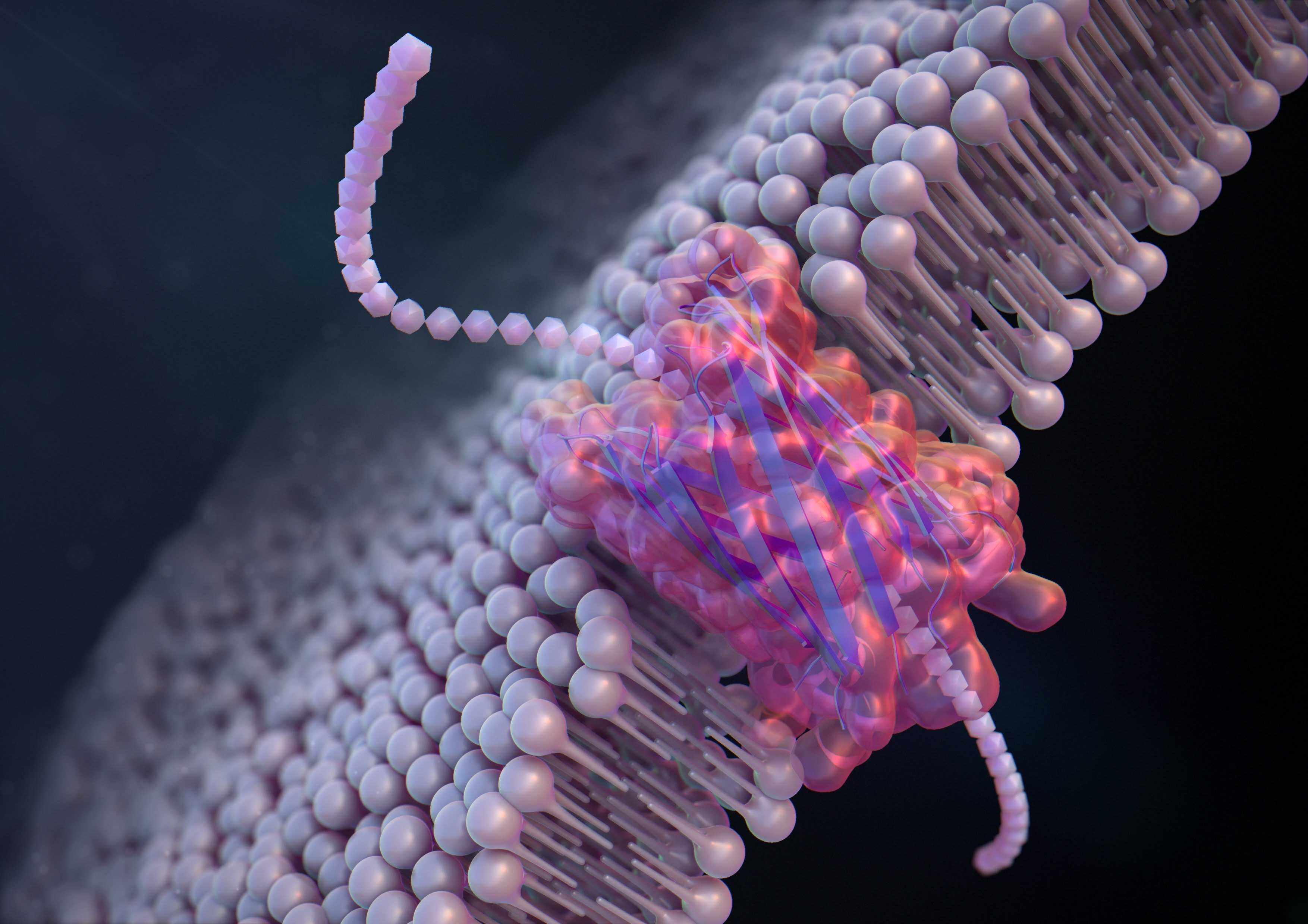 Сенсорные нанопоры распознали единичные молекулы белков