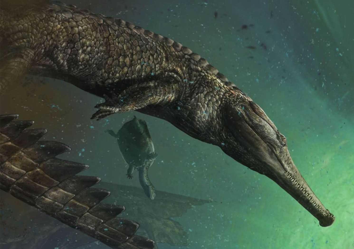 Что мог слышать древнейший крокодил?
