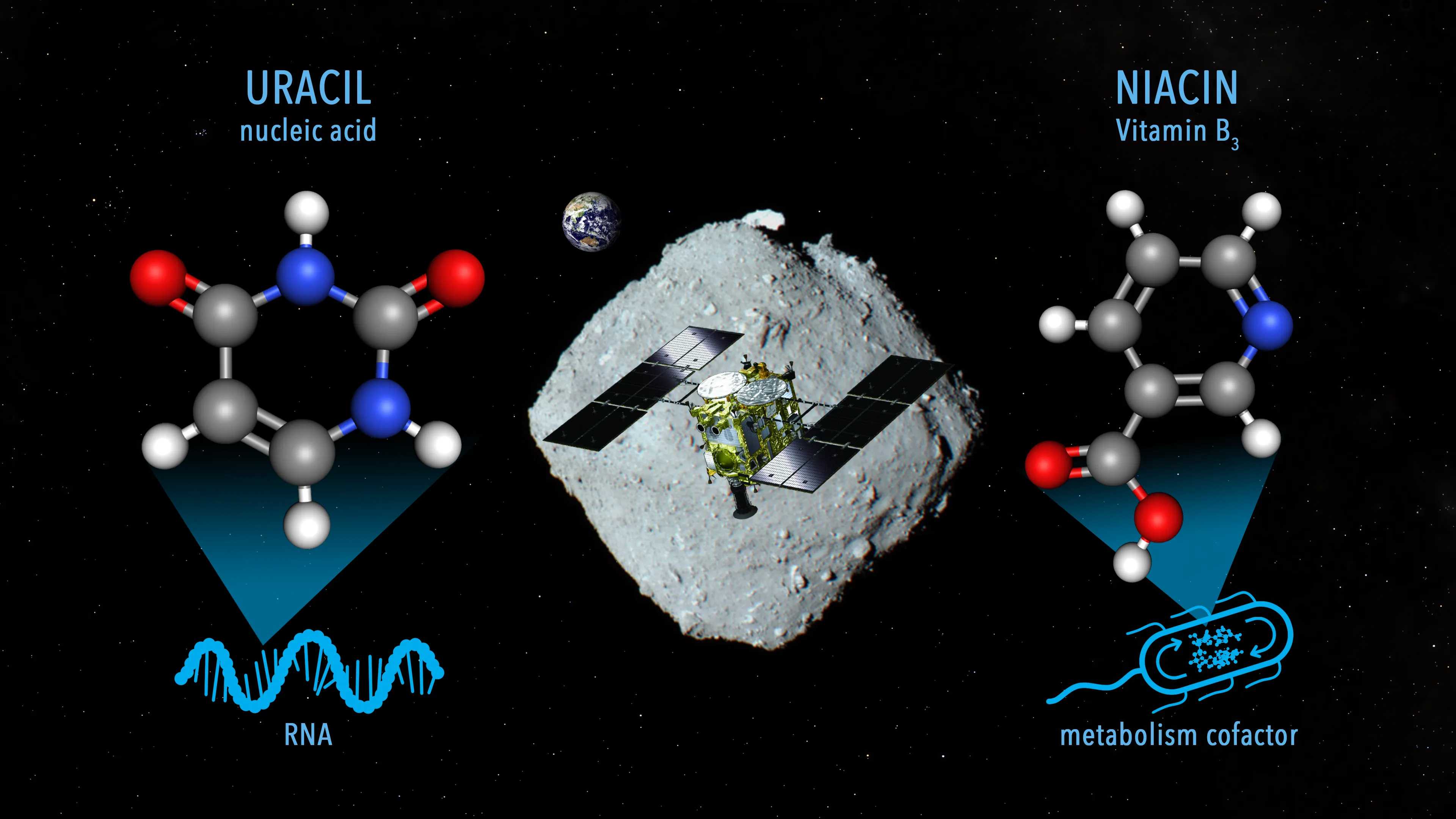 В астероидной пыли нашли компоненты РНК