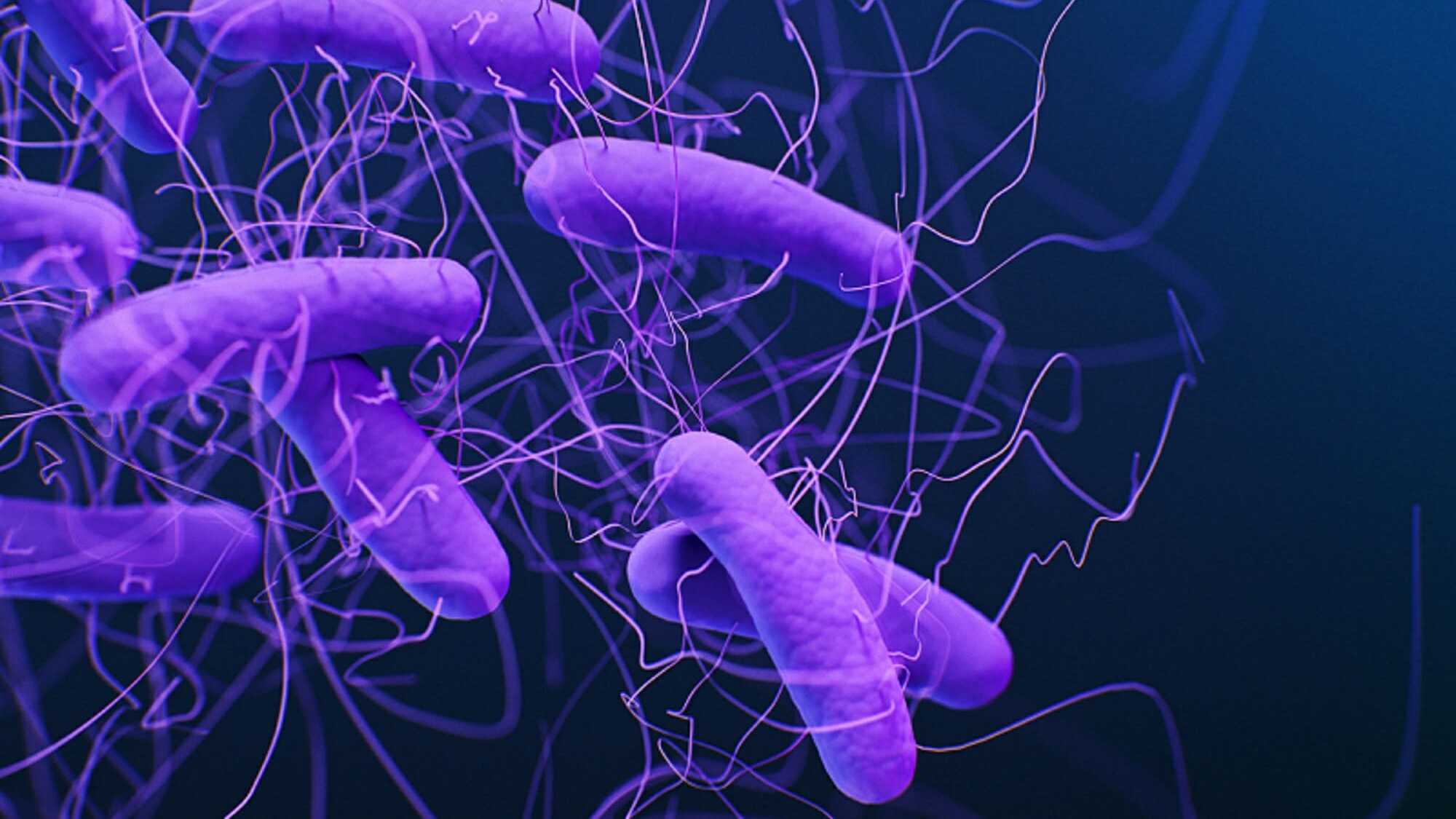 Пересадка кишечной микробиоты оказалась эффективнее антибиотиков при лечении колита