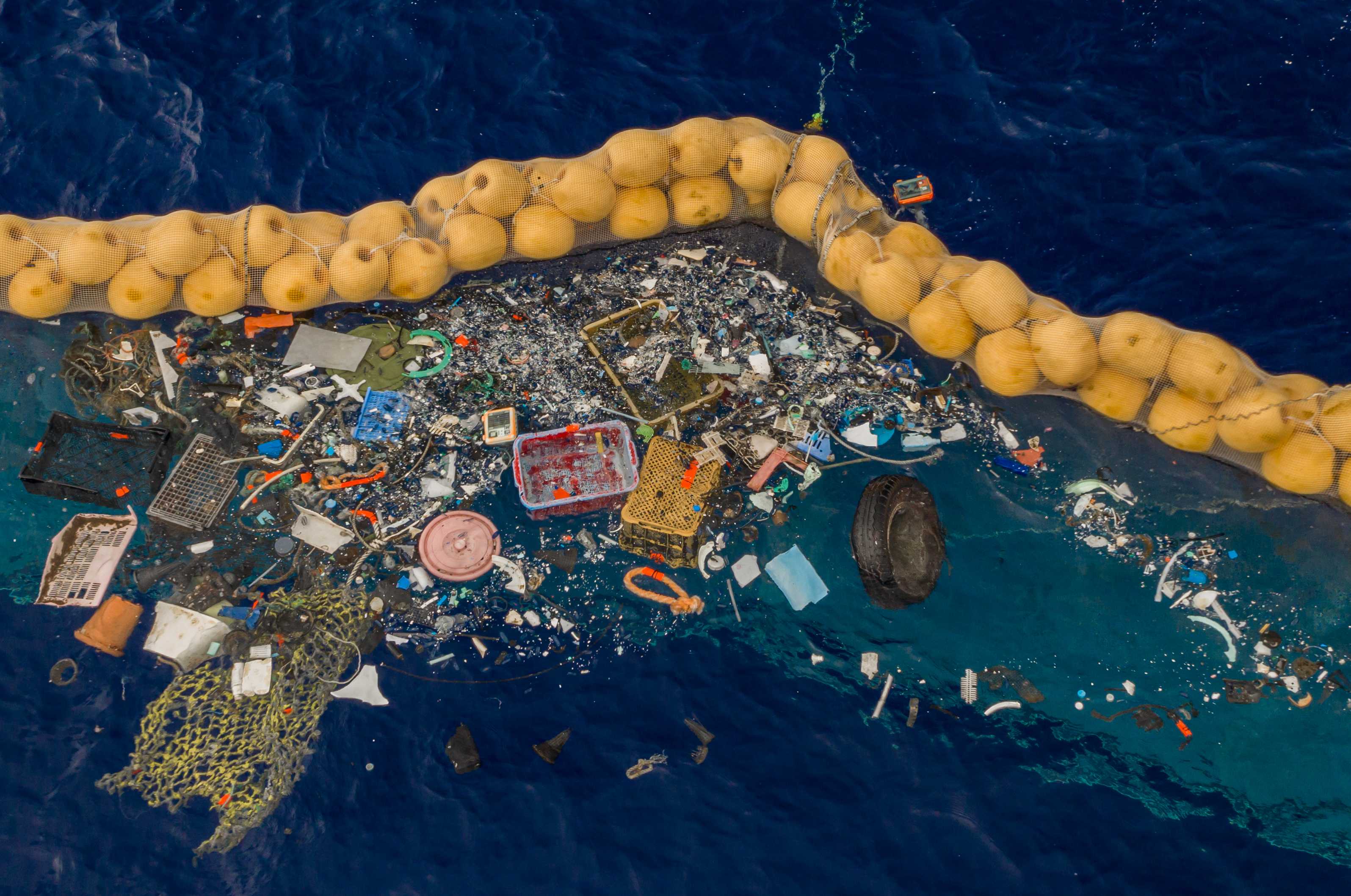 Прибрежные животные нашли приют на большом мусорном пятне в Тихом океане