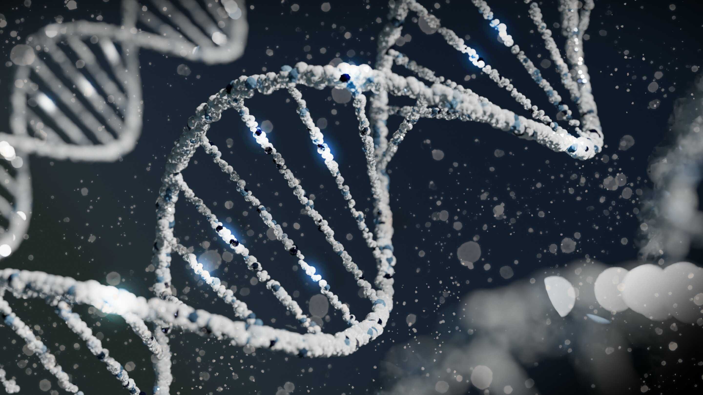 Биологи выяснили, как работает «ген нечувствительности к боли»