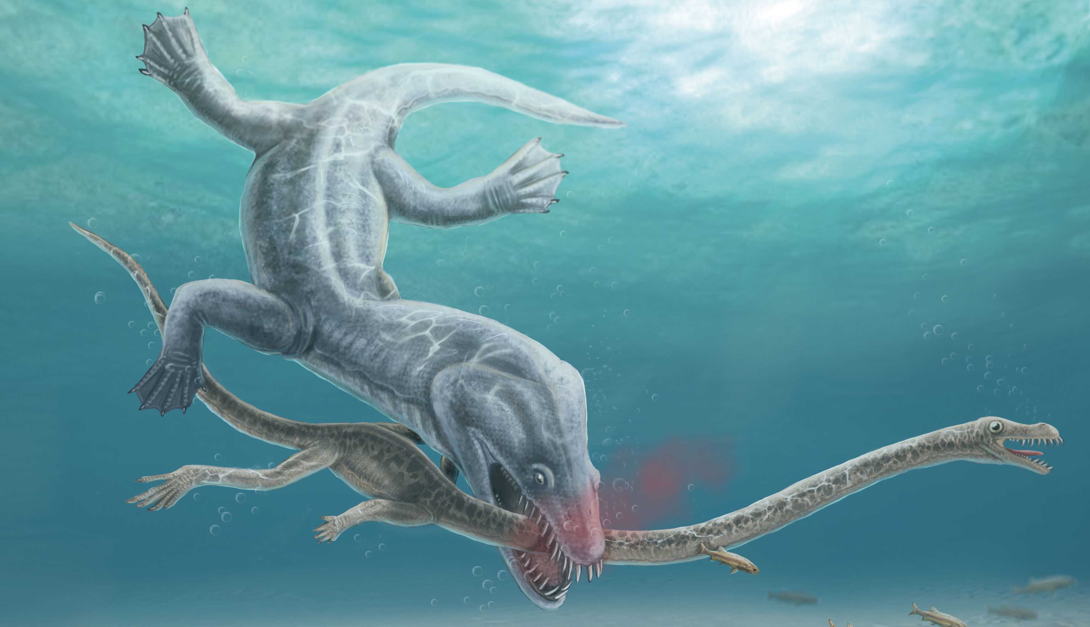 Ученые впервые нашли свидетельства уязвимости экстремально длинных шей древних рептилий