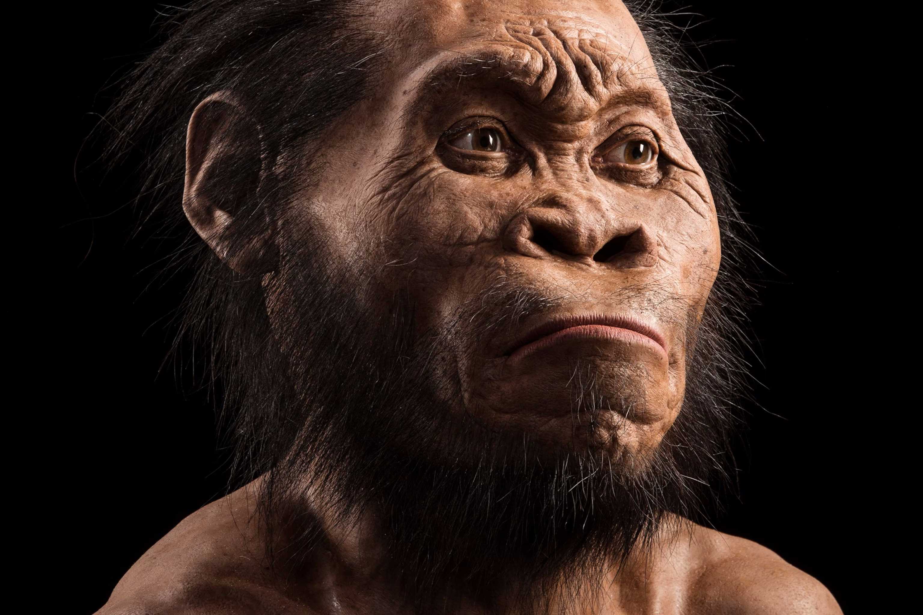 Homo naledi хоронили своих сородичей