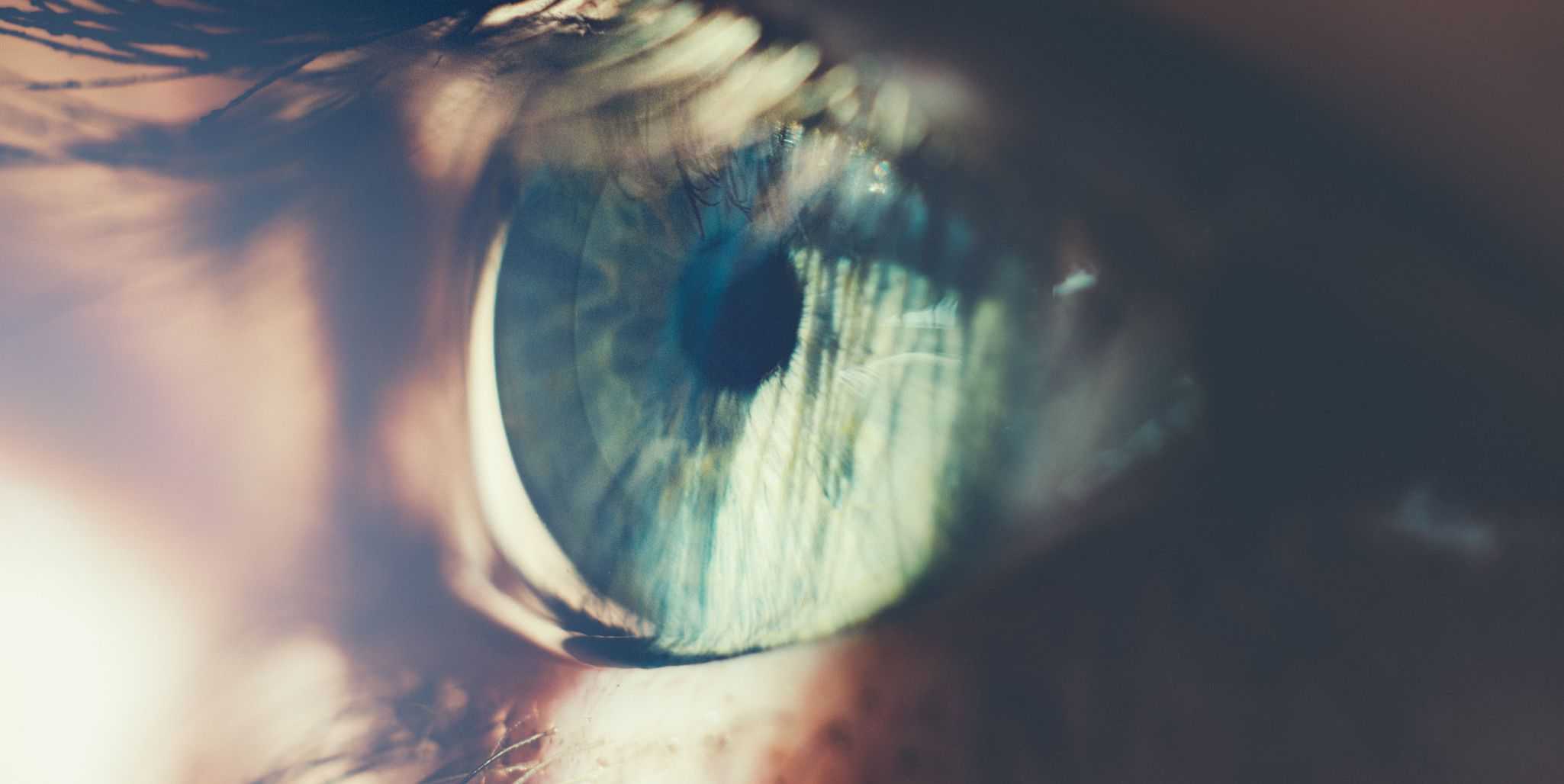 Генетическая модификация глаза позволила слепым к цвету людям различать красный