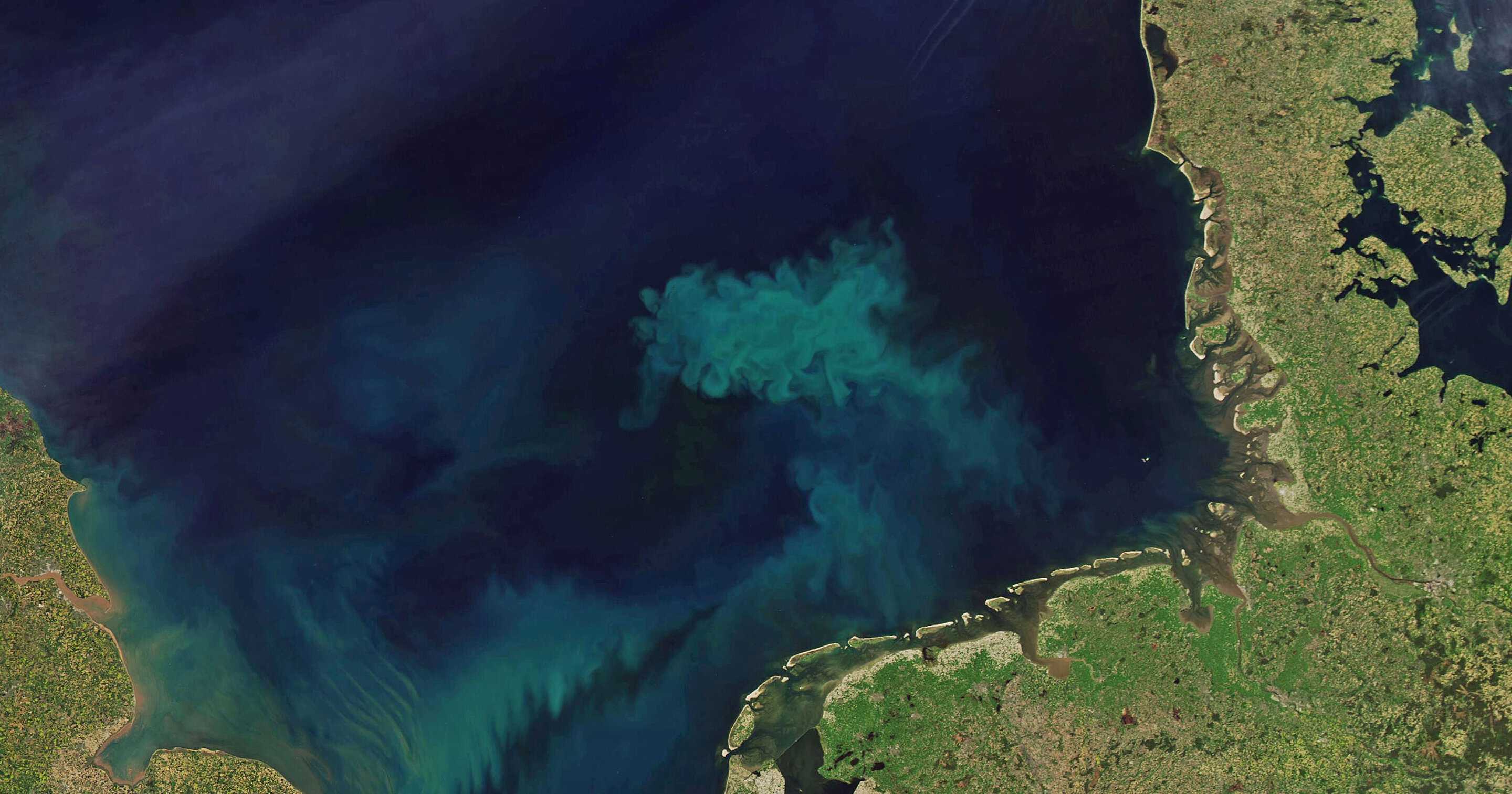 Спутники заметили, что Мировой океан позеленел