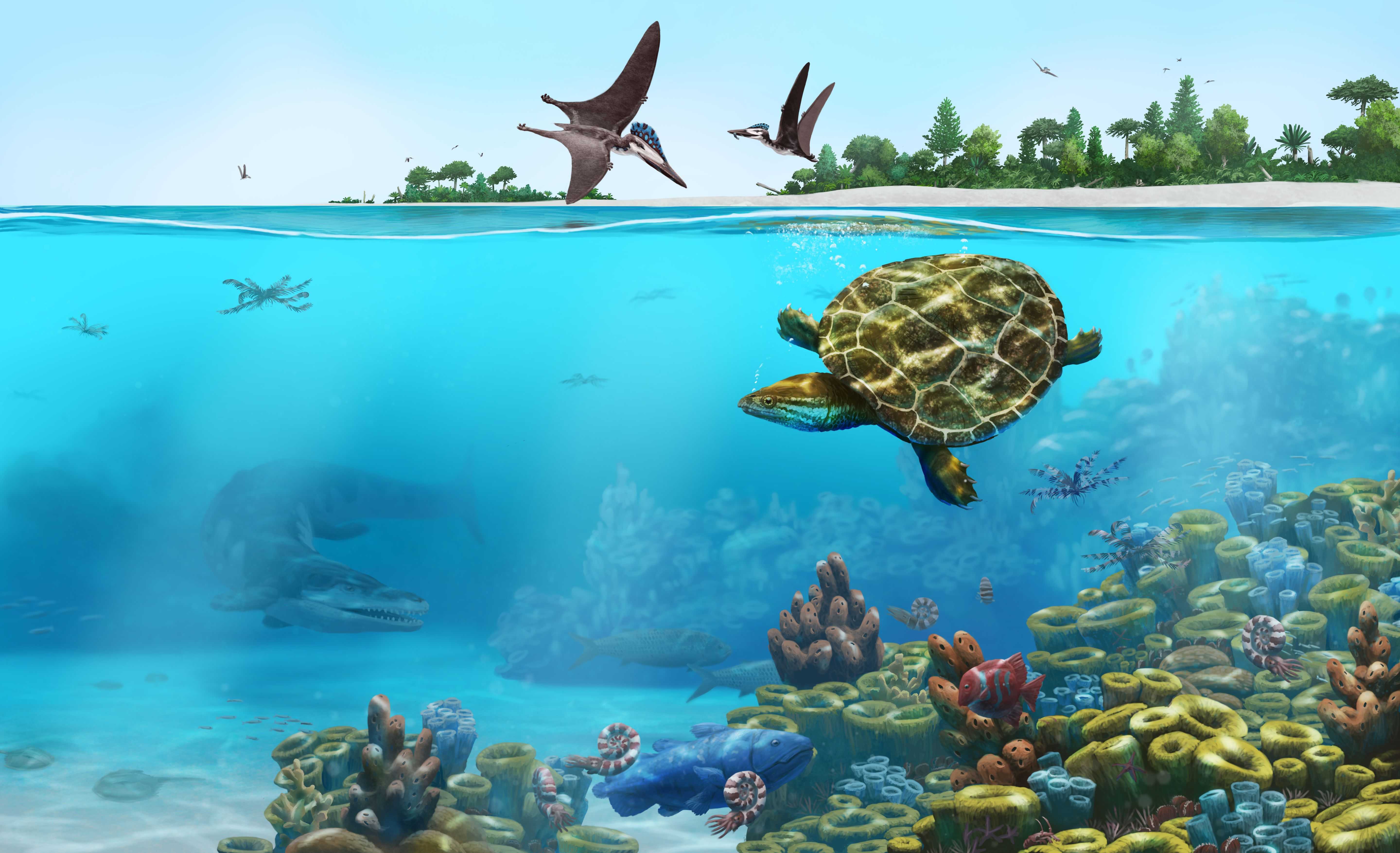 Палеонтологи описали отлично сохранившуюся черепаху из юрского периода