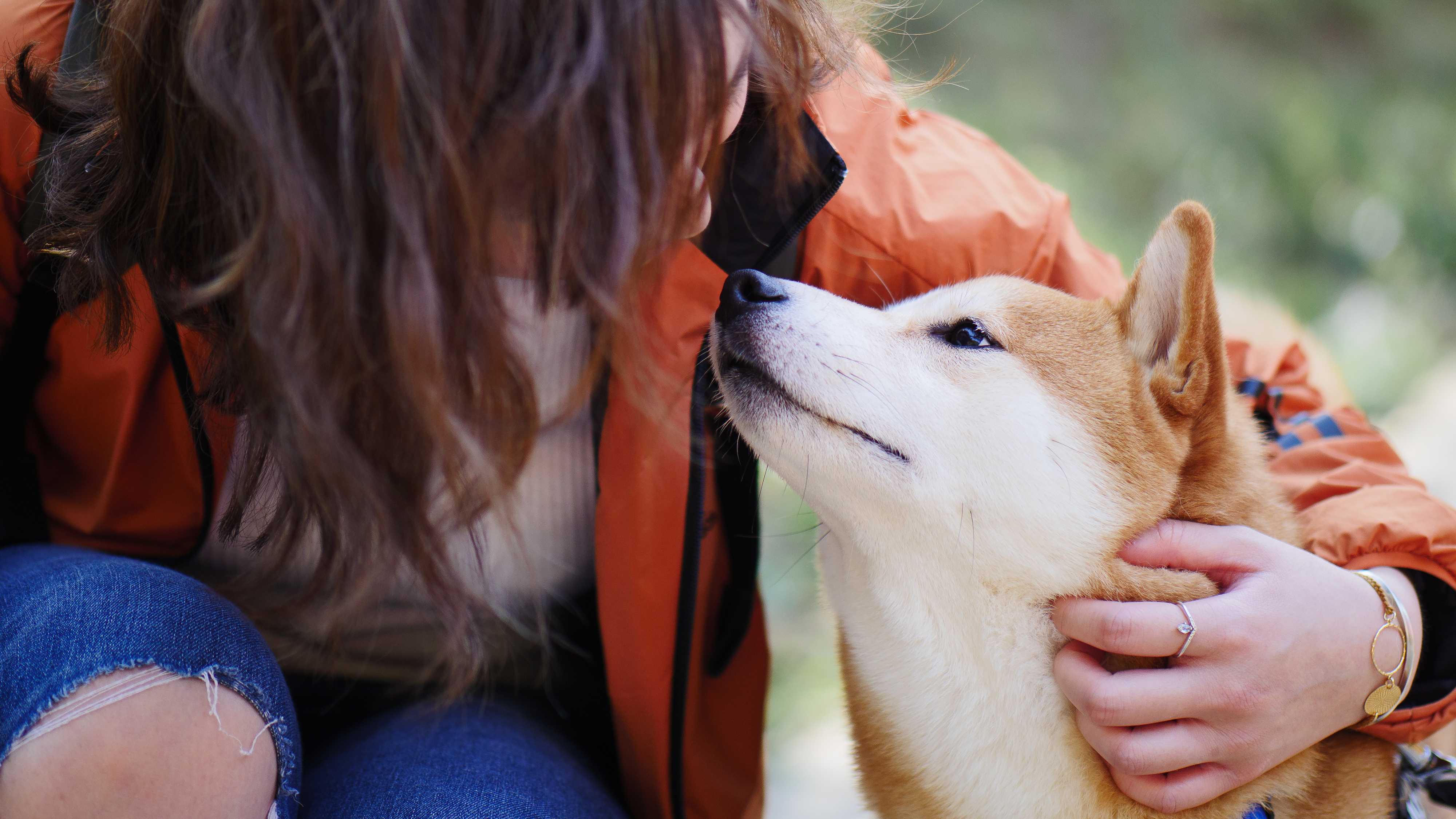 Ученые разобрались, как доходчивее всего разговаривать с собакой