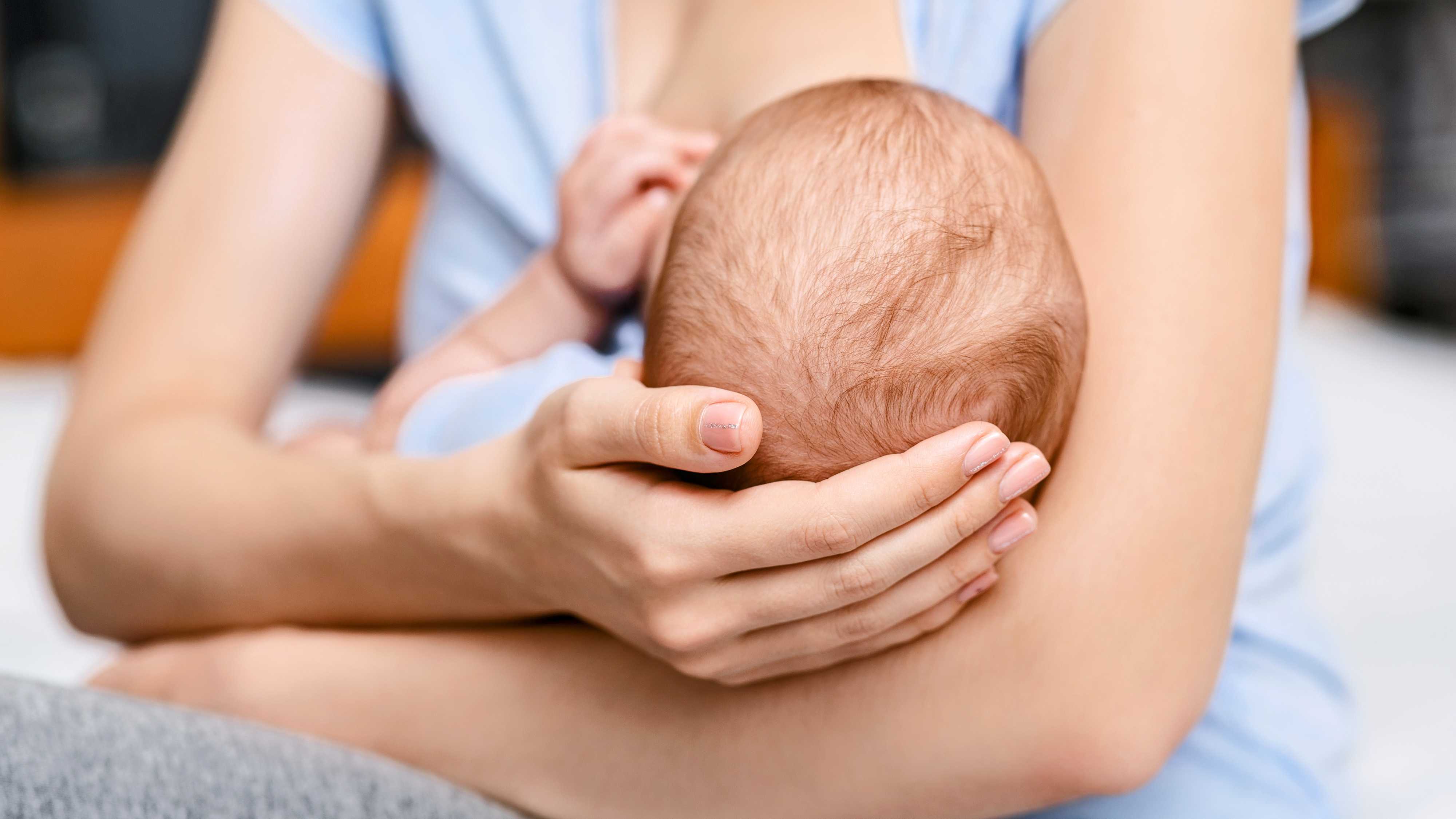 Грудное молоко способствует формированию синаптических связей у младенцев