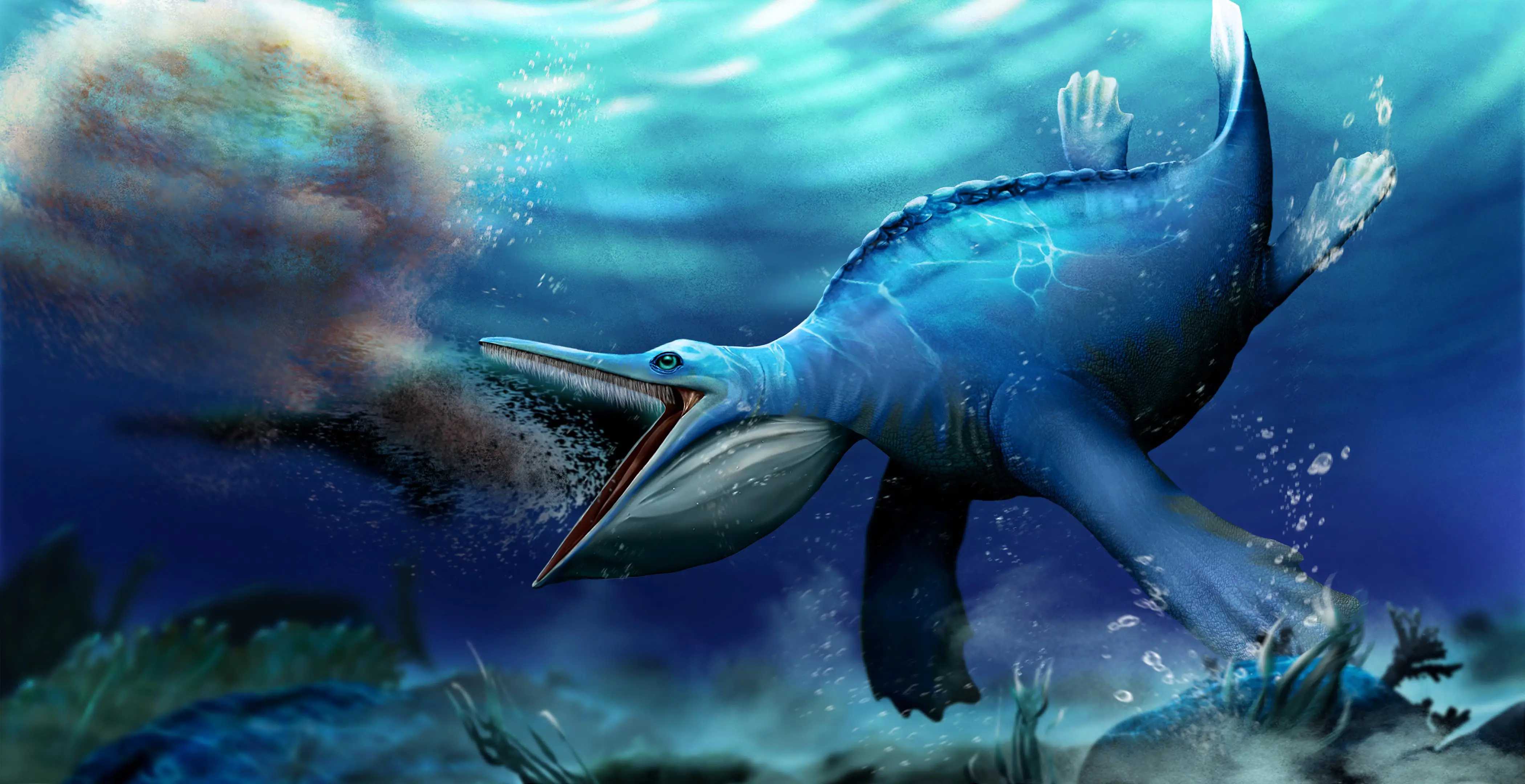 Палеонтологи нашли древнюю рептилию, которая фильтровала воду, как кит