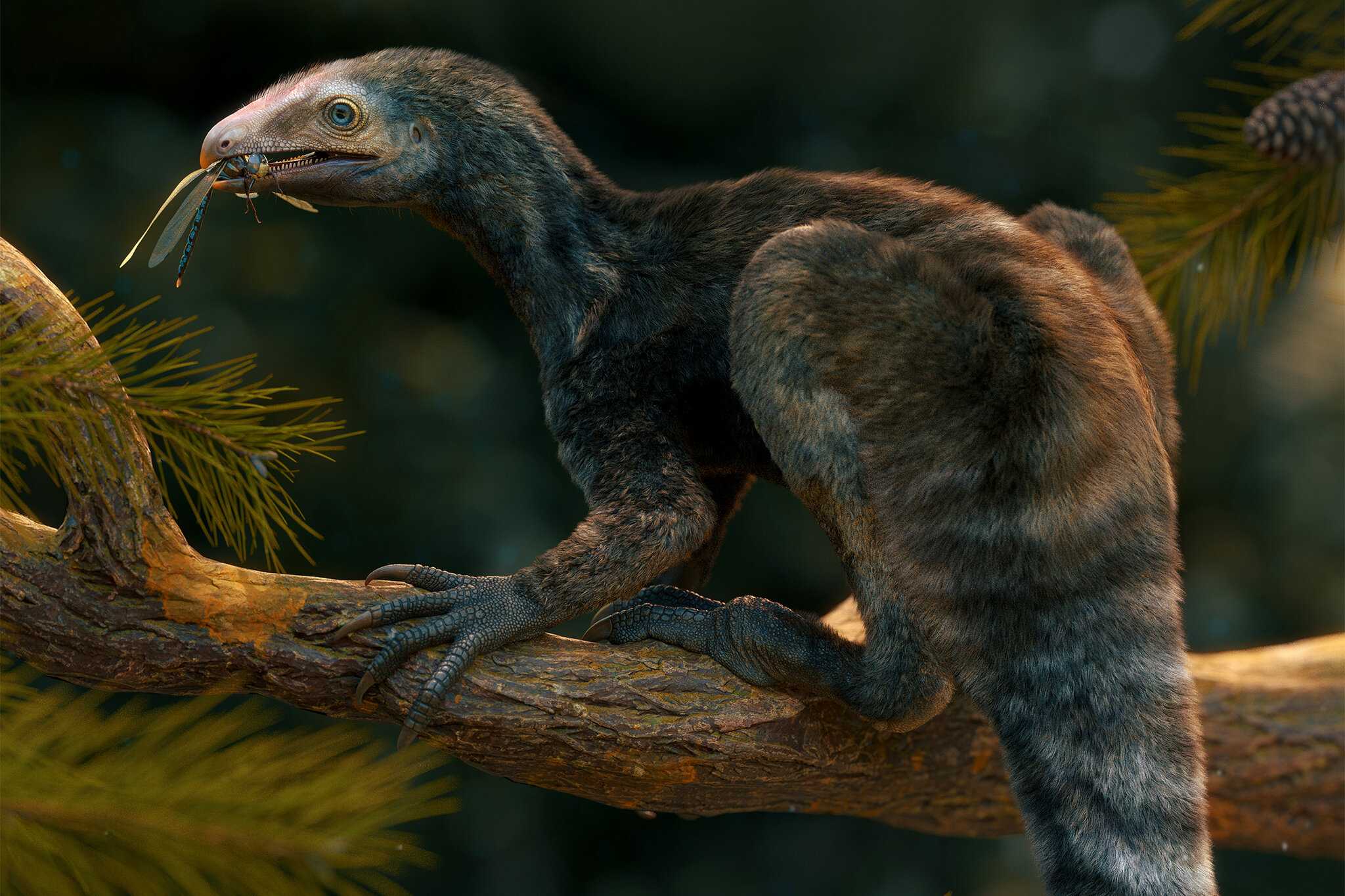 Палеонтологи нашли «рукастого» родственника птерозавров с саблевидными когтями