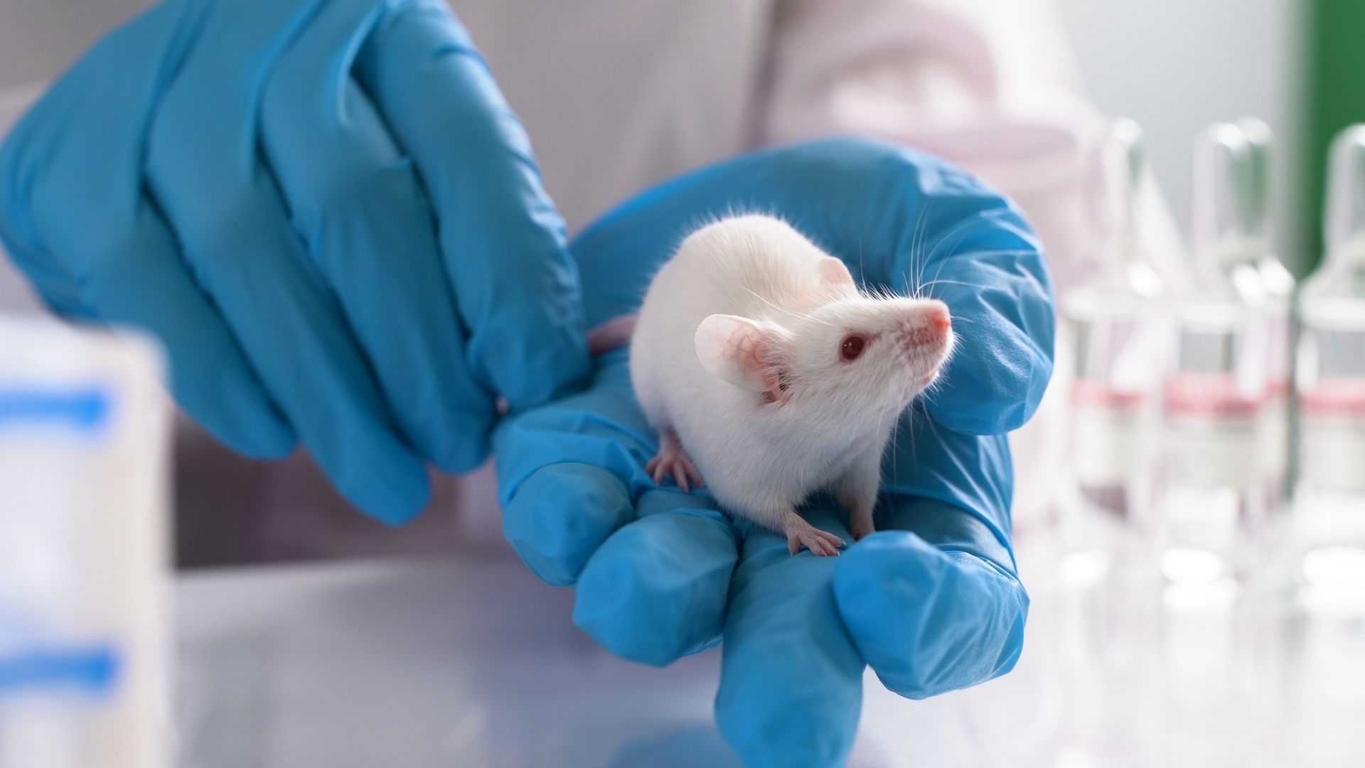 Целенаправленная регенерация аксонов восстановила ходьбу у парализованных мышей