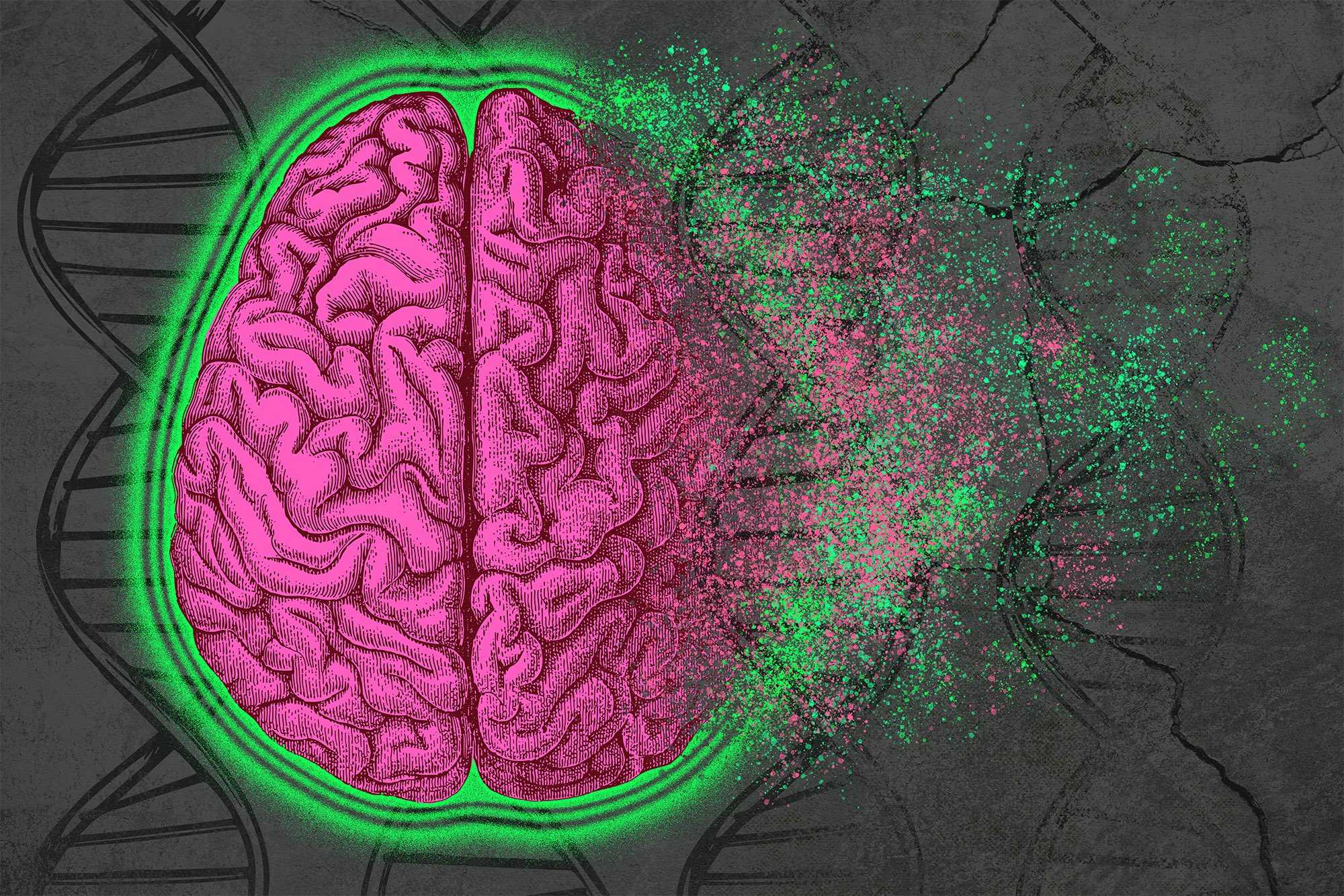 Сознание кроется в синхронизации нейронов коры?