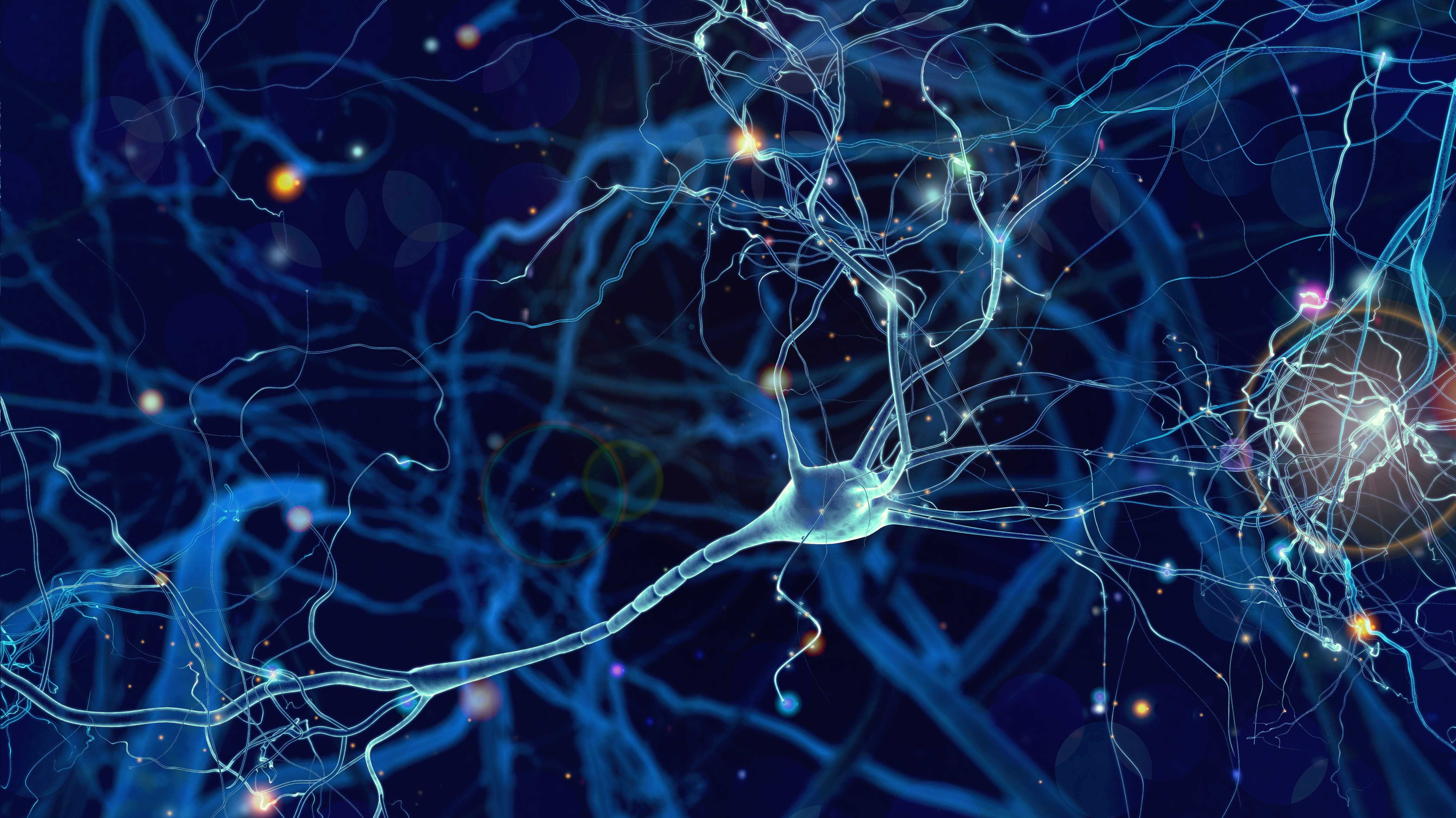 Осуществляет связь между нейронами какой нейрон. Синапс нейрона. Нейроны мозга. Нейронная клетка. Нейронная сеть мозга.