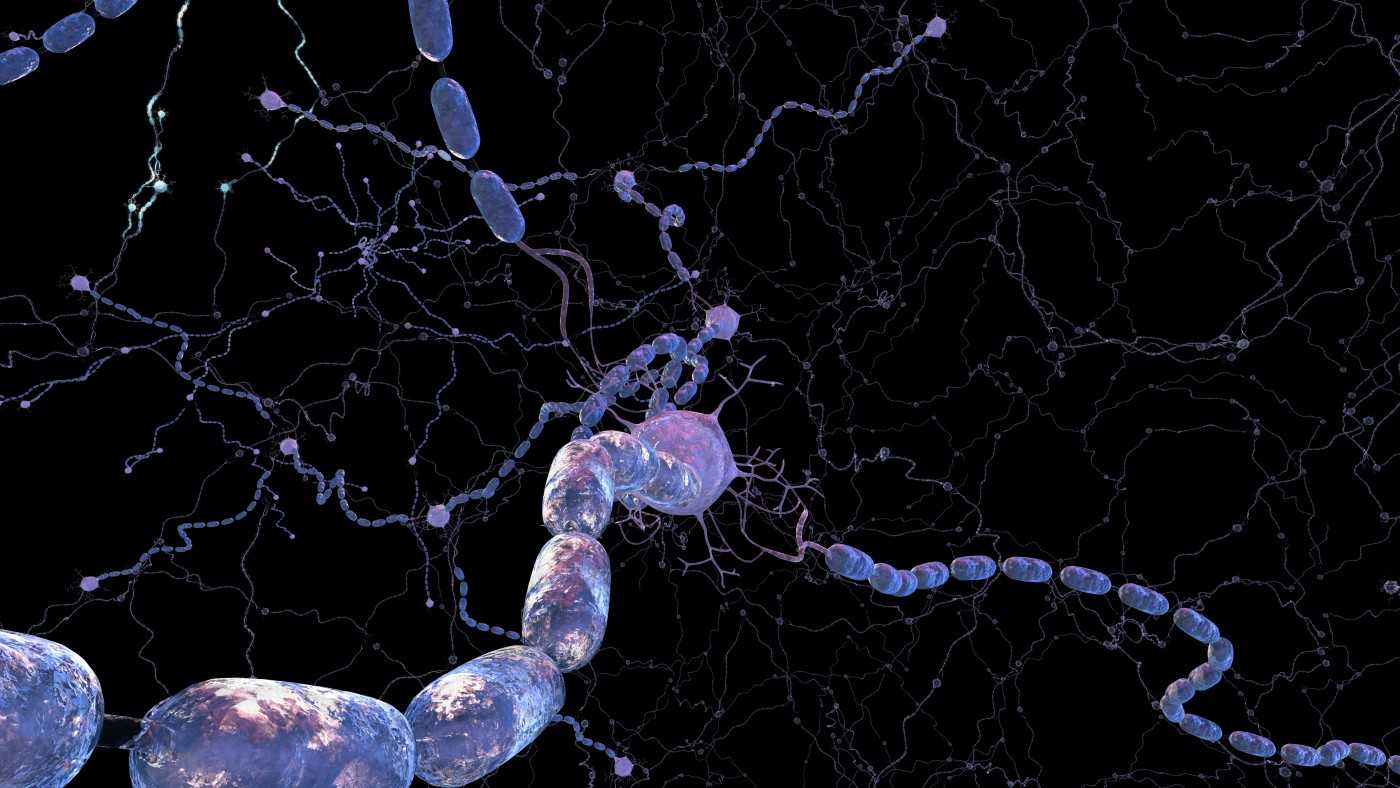 Найдено новое потенциальное лекарство против рассеянного склероза