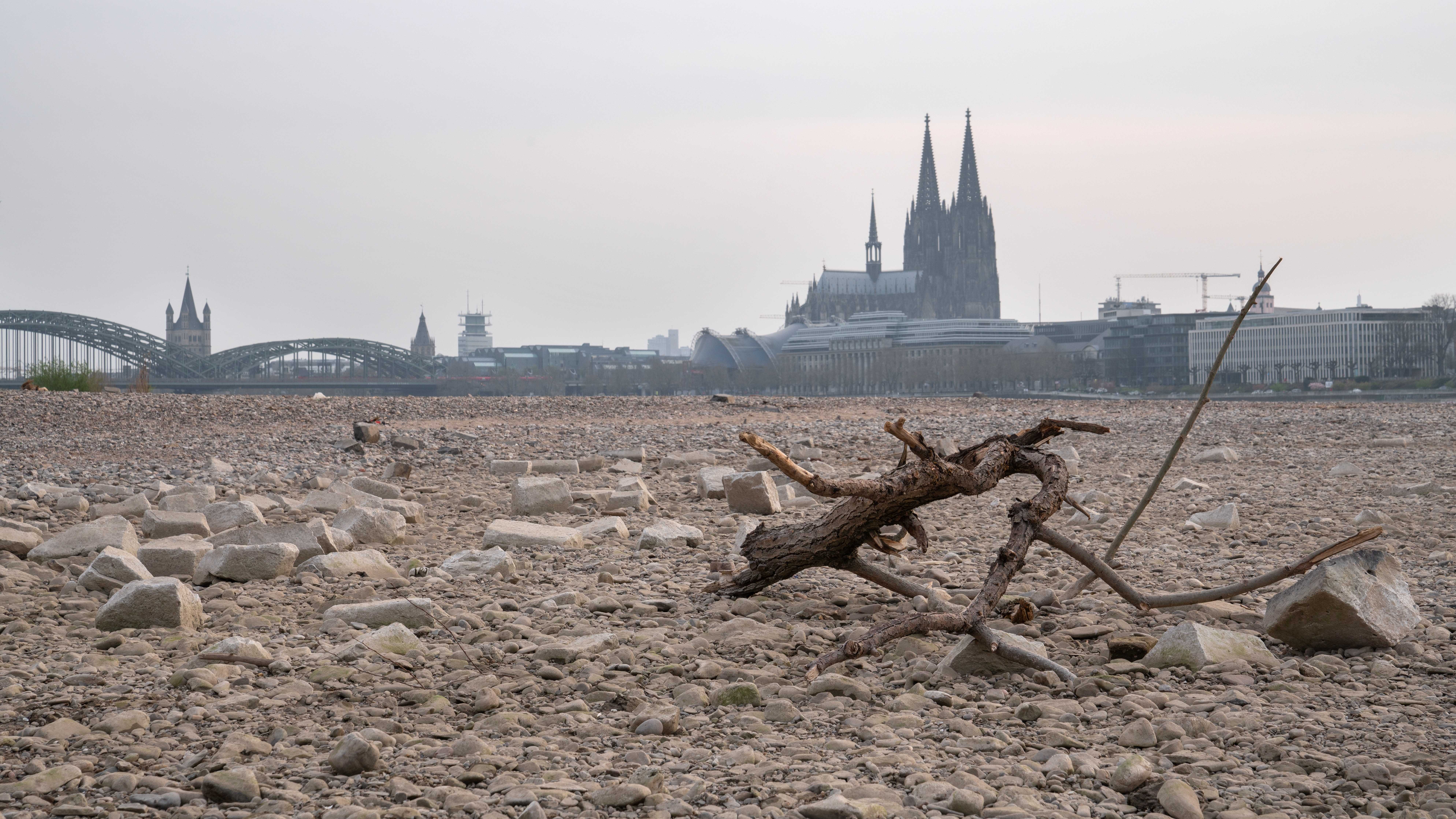 Засухи последних десятилетий в Европе связали с антропогенным изменением климата