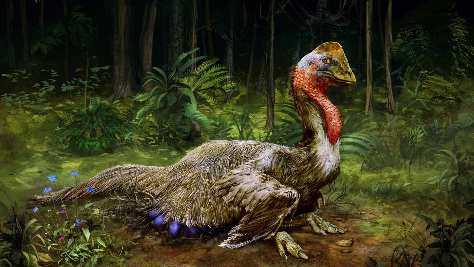 Новый подвид «адского цыпленка» ломает теорию о постепенном вымирании динозавров