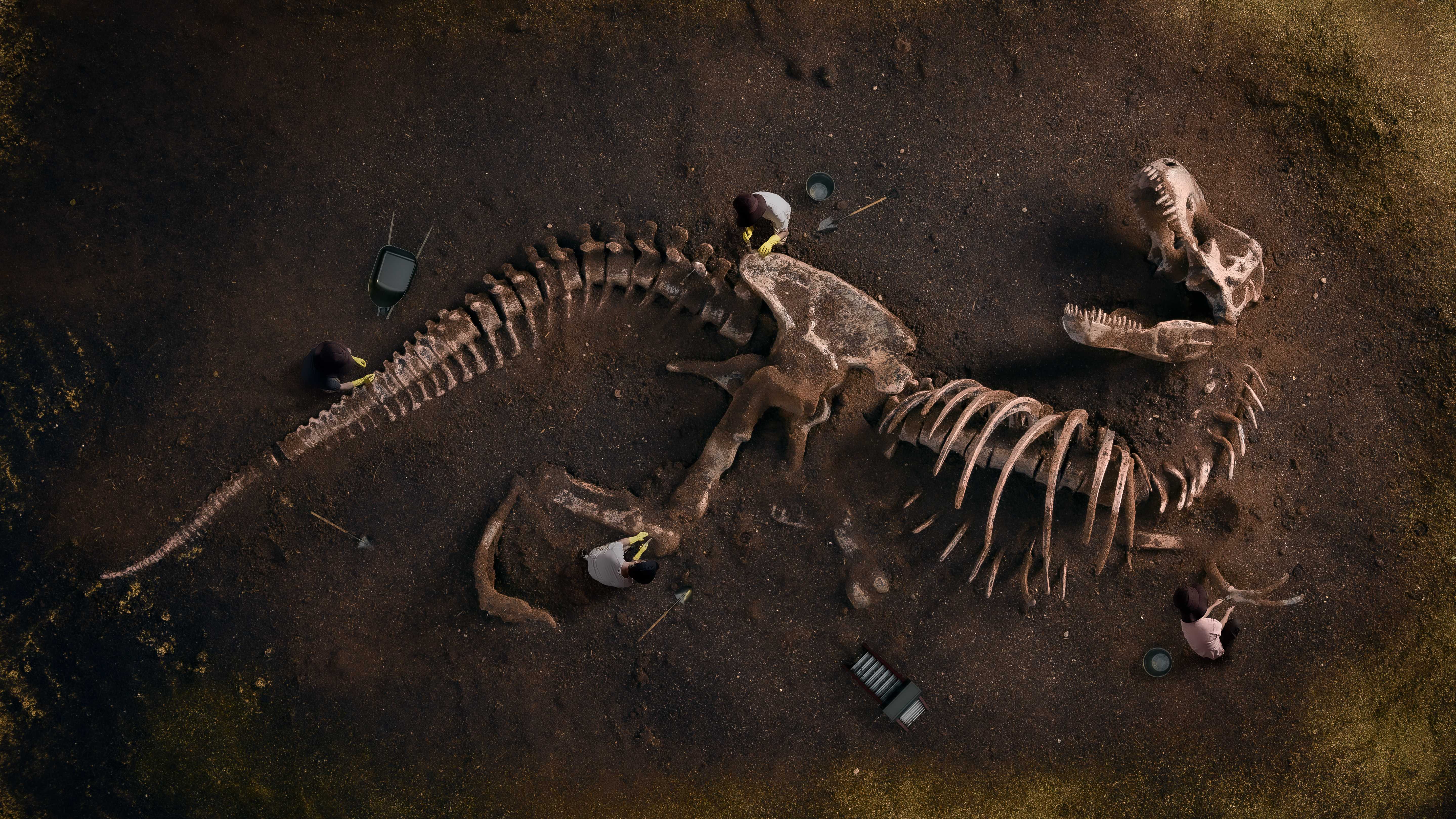 Палеонтологические кости – 2023