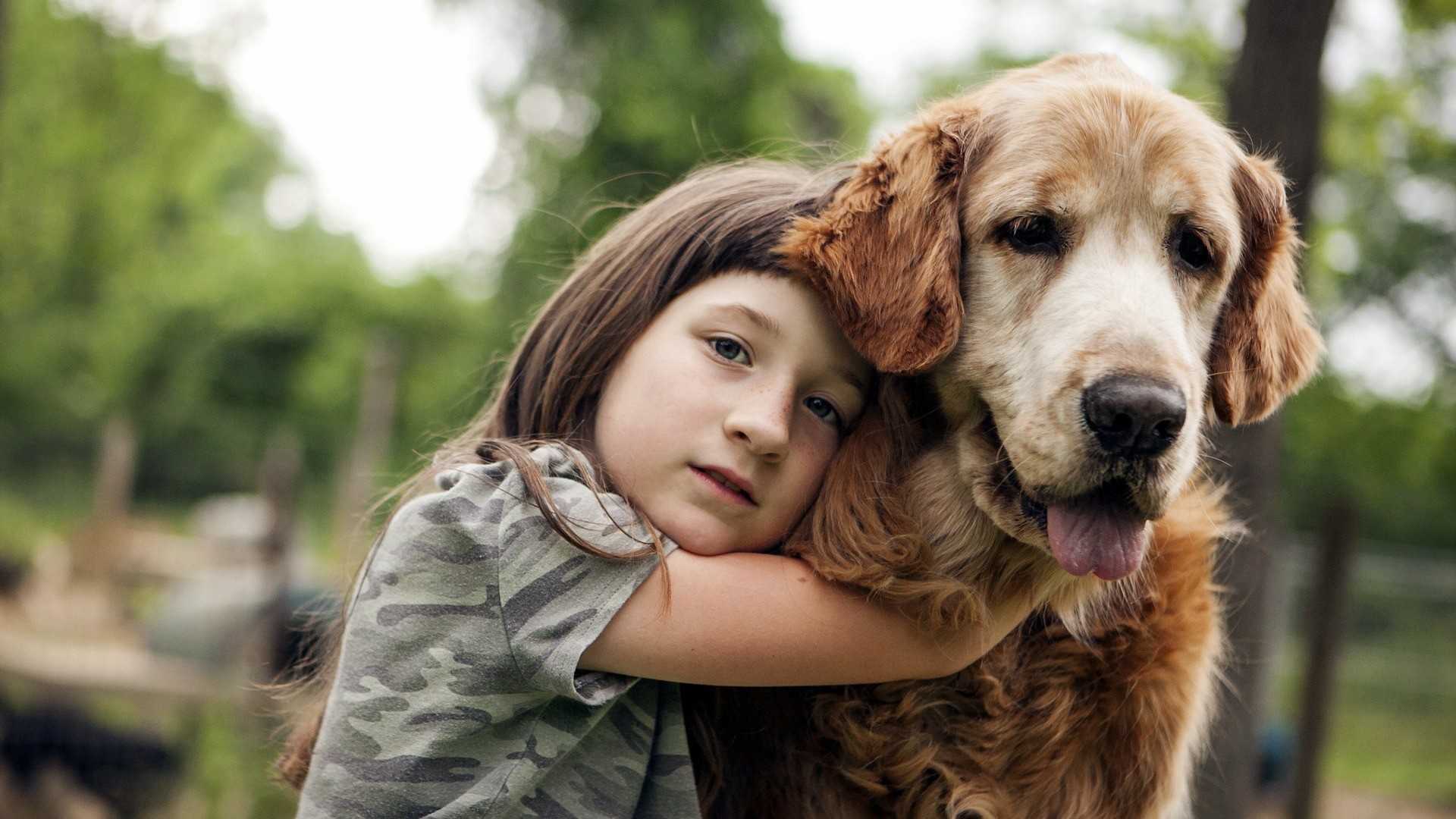 Собака в семье помогла девочкам больше, чем мальчикам