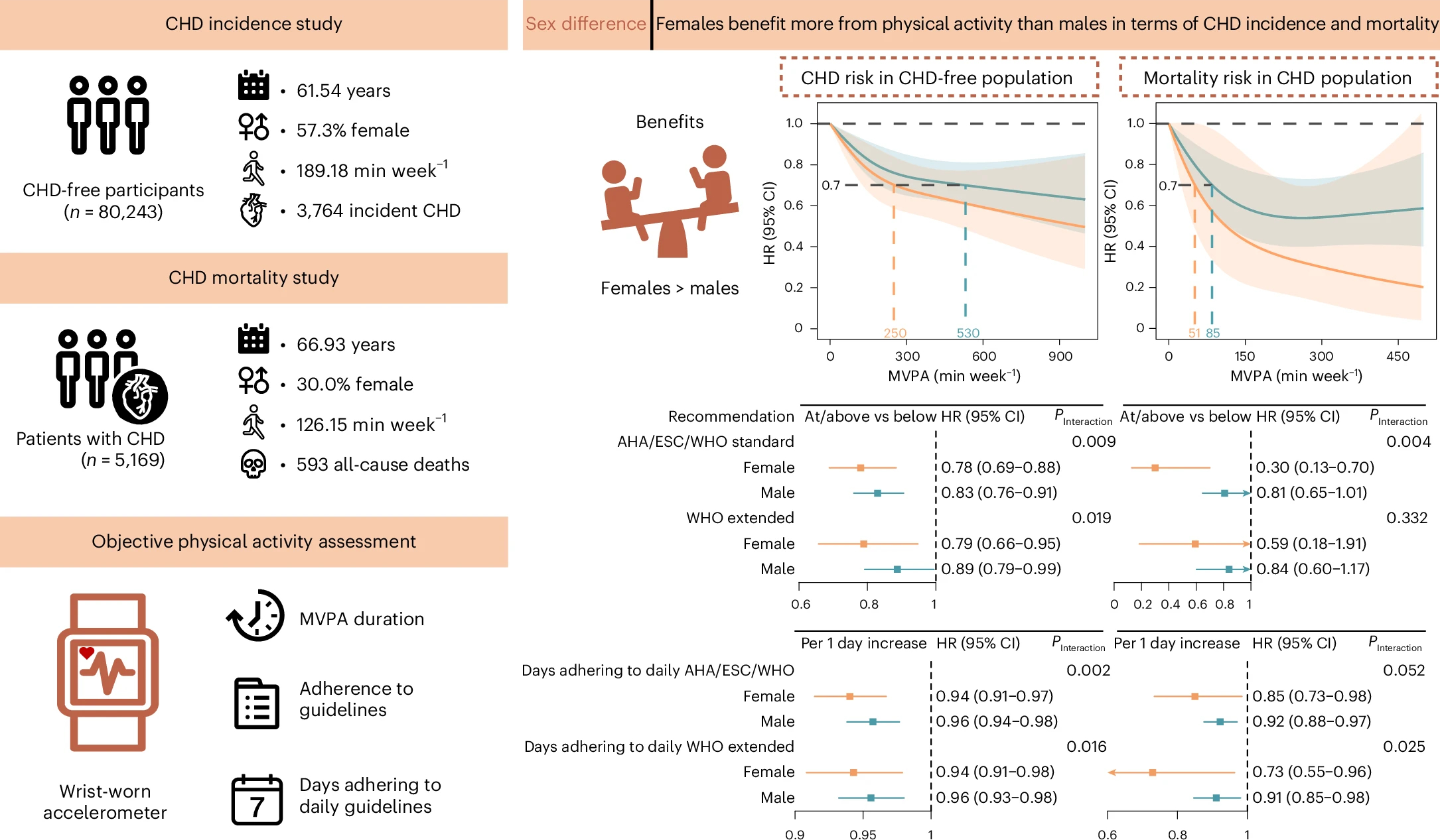 Женское сердце получило больше пользы от физических нагрузок Женское сердце получило больше пользы от физических нагрузок