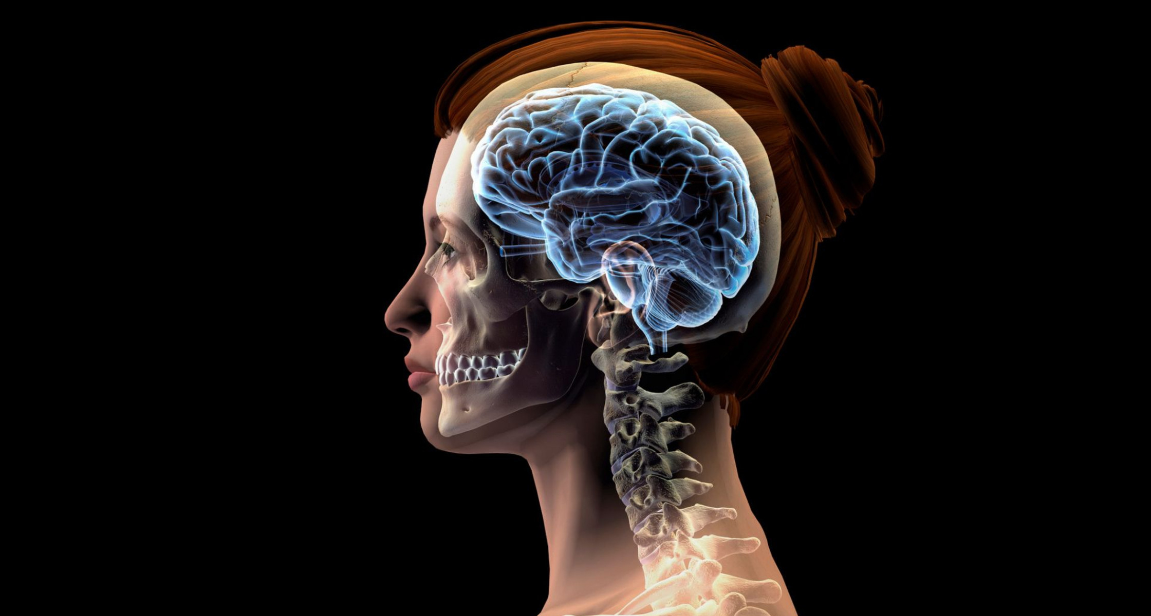 Эстроген защищает женщин от болезни Паркинсона Эстроген защищает женщин от болезни Паркинсона