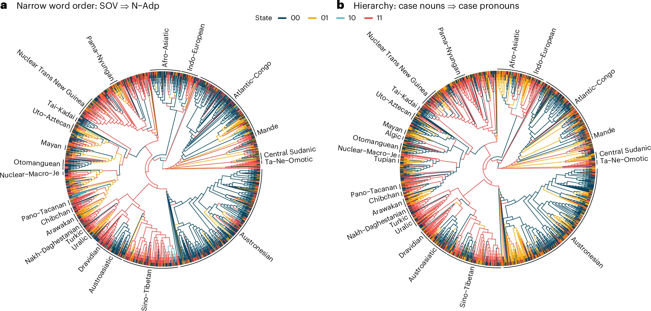 Лингвисты проверили 191 грамматическую закономерность на материале 2430 языков Анализ 2430 языков показал сходства и различия их правил грамматики
