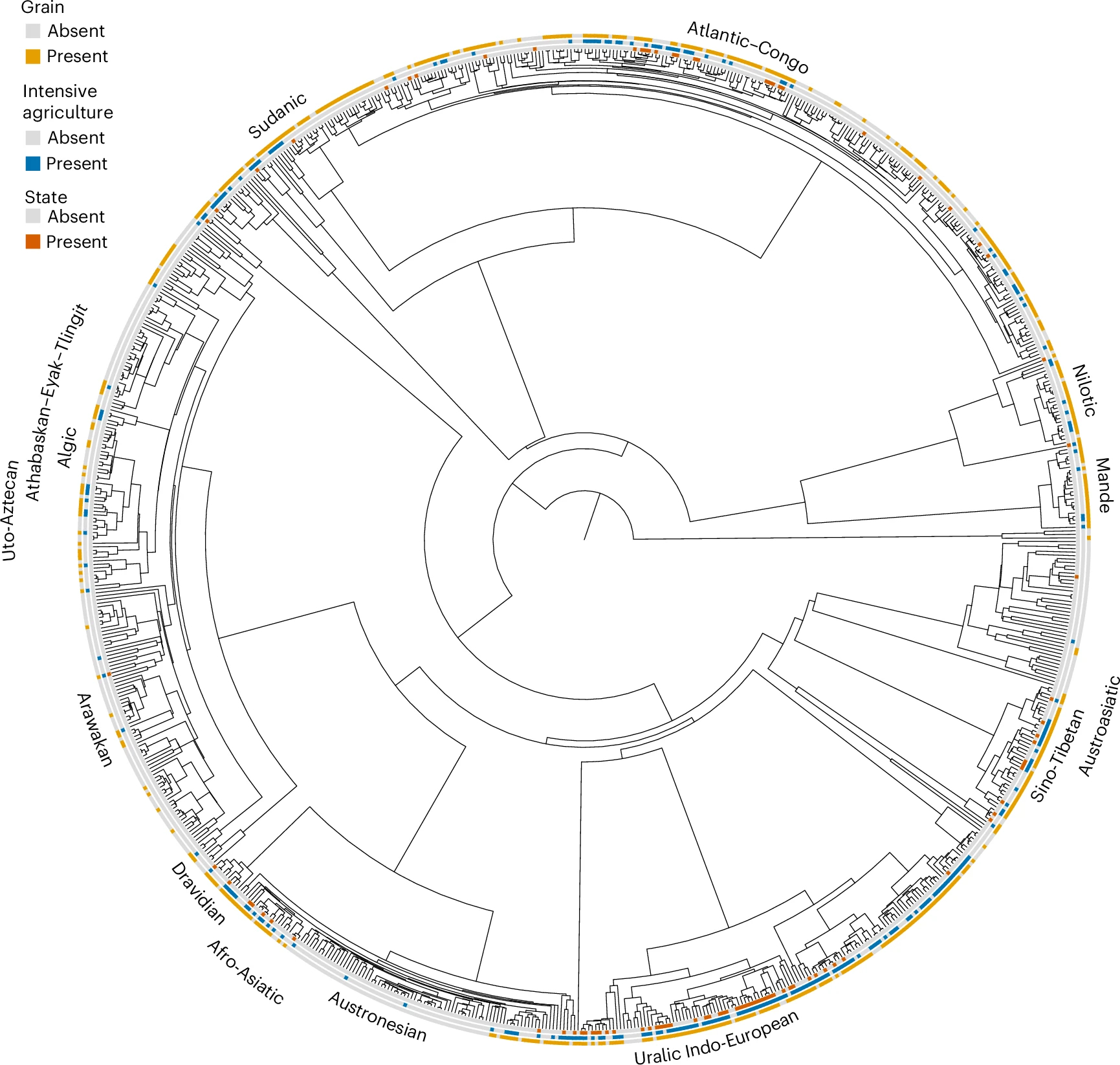Налоги на урожай, а не сельское хозяйство в целом, подтолкнули людей к созданию первых государств Налоги на урожай, а не сельское хозяйство в целом, подтолкнули людей к созданию первых государств